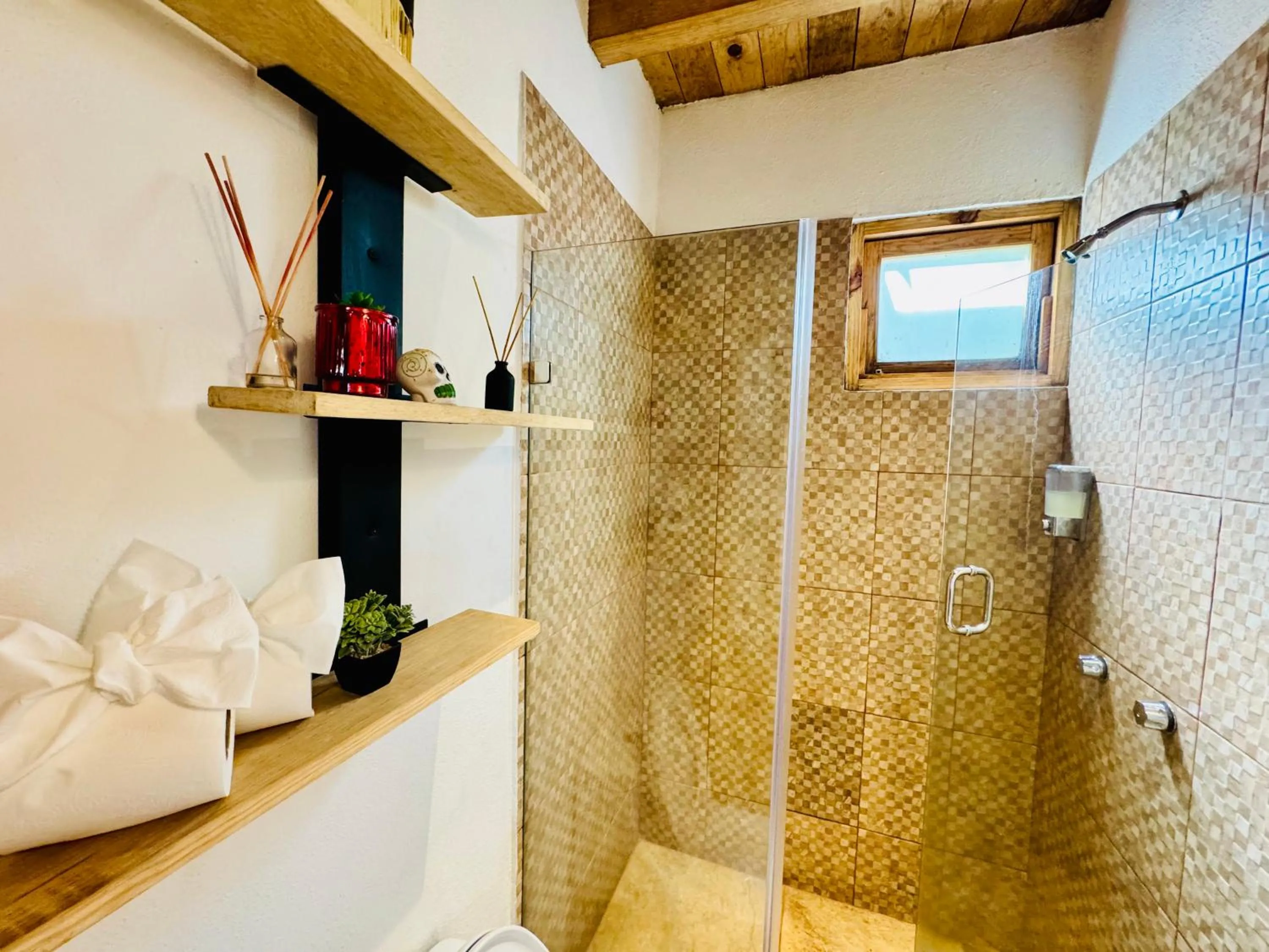 Shower in Encino House Hotel Boutique