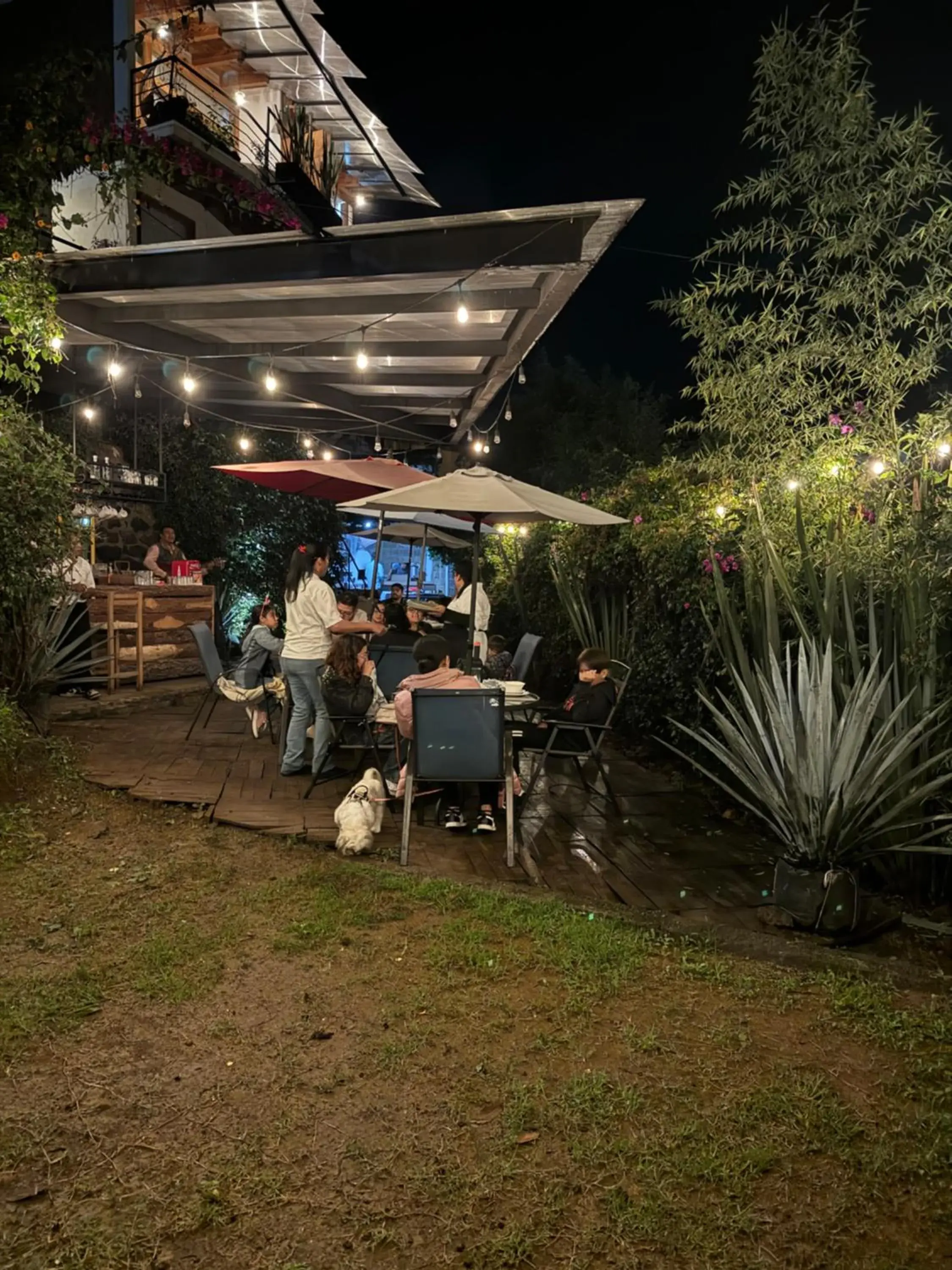 Restaurant/places to eat in Encino House Hotel Boutique Restaurant/places to eat in Encino House Hotel Boutique