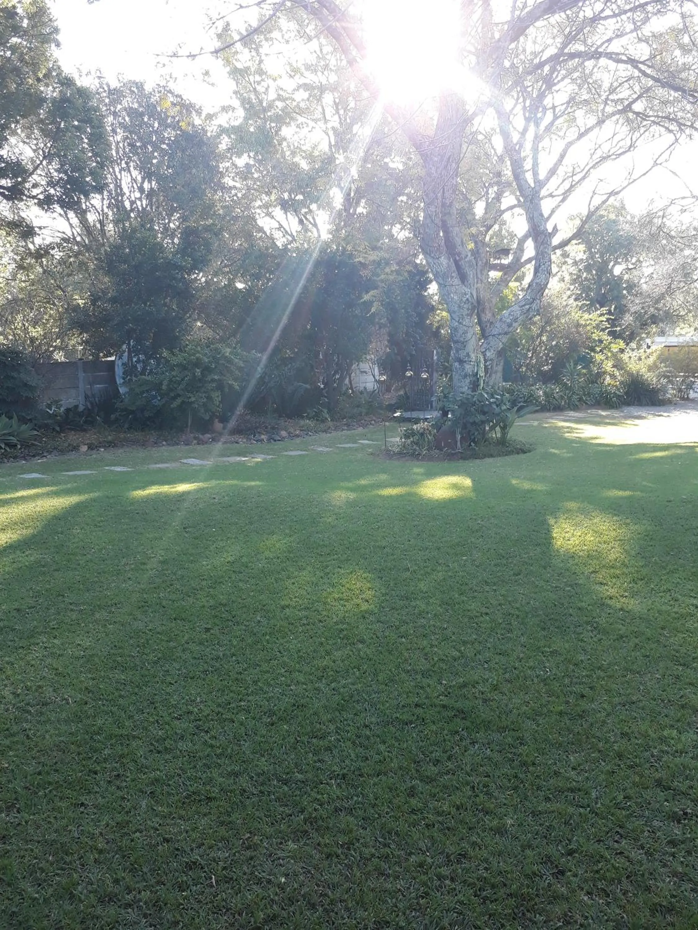 Garden in Blessings Guesthouse