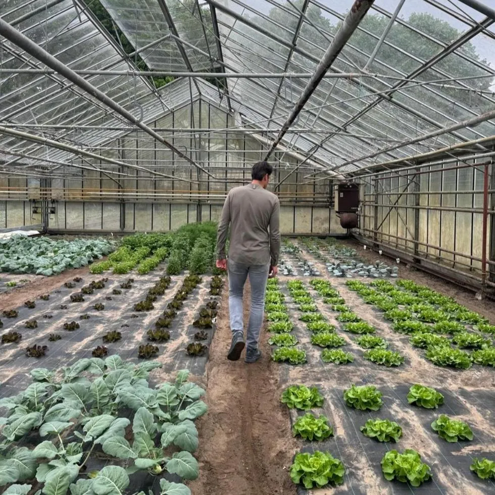 Garden in Hotel Zonne