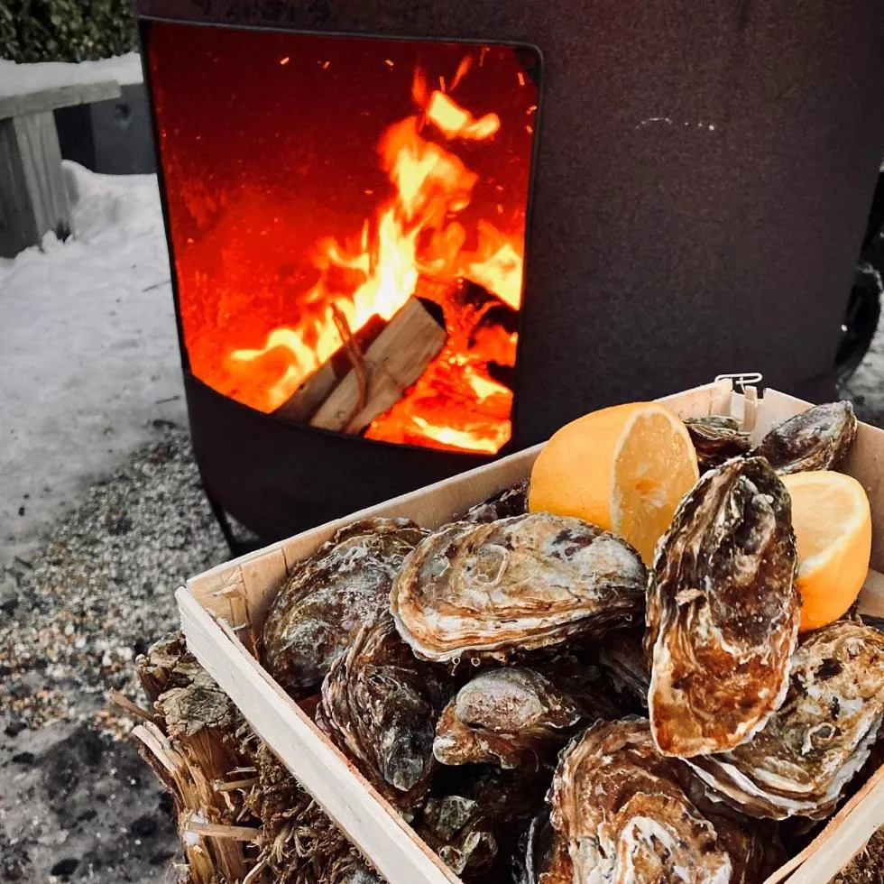 Garden in Hotel Zonne