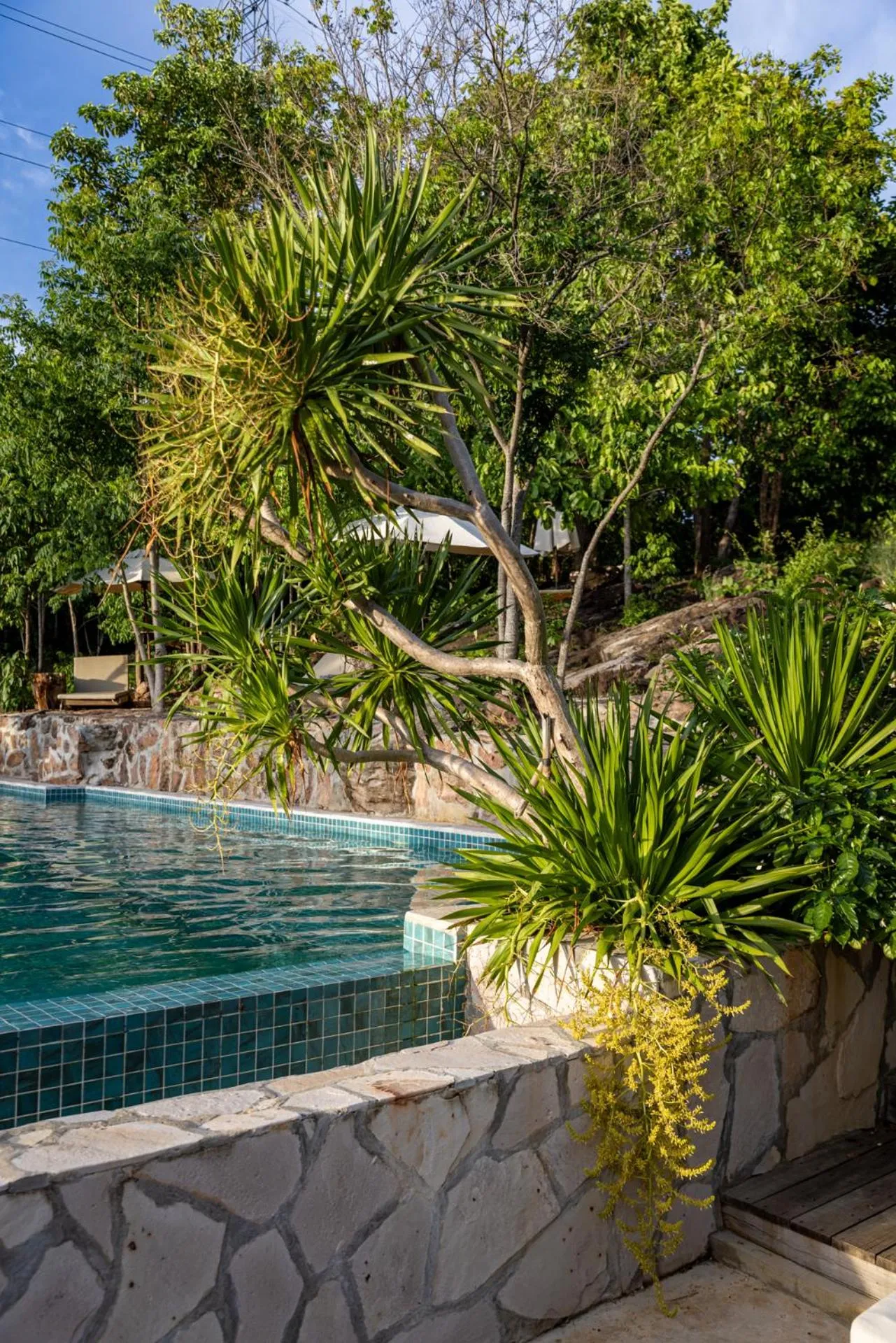 Pool view in Payana Kampot
