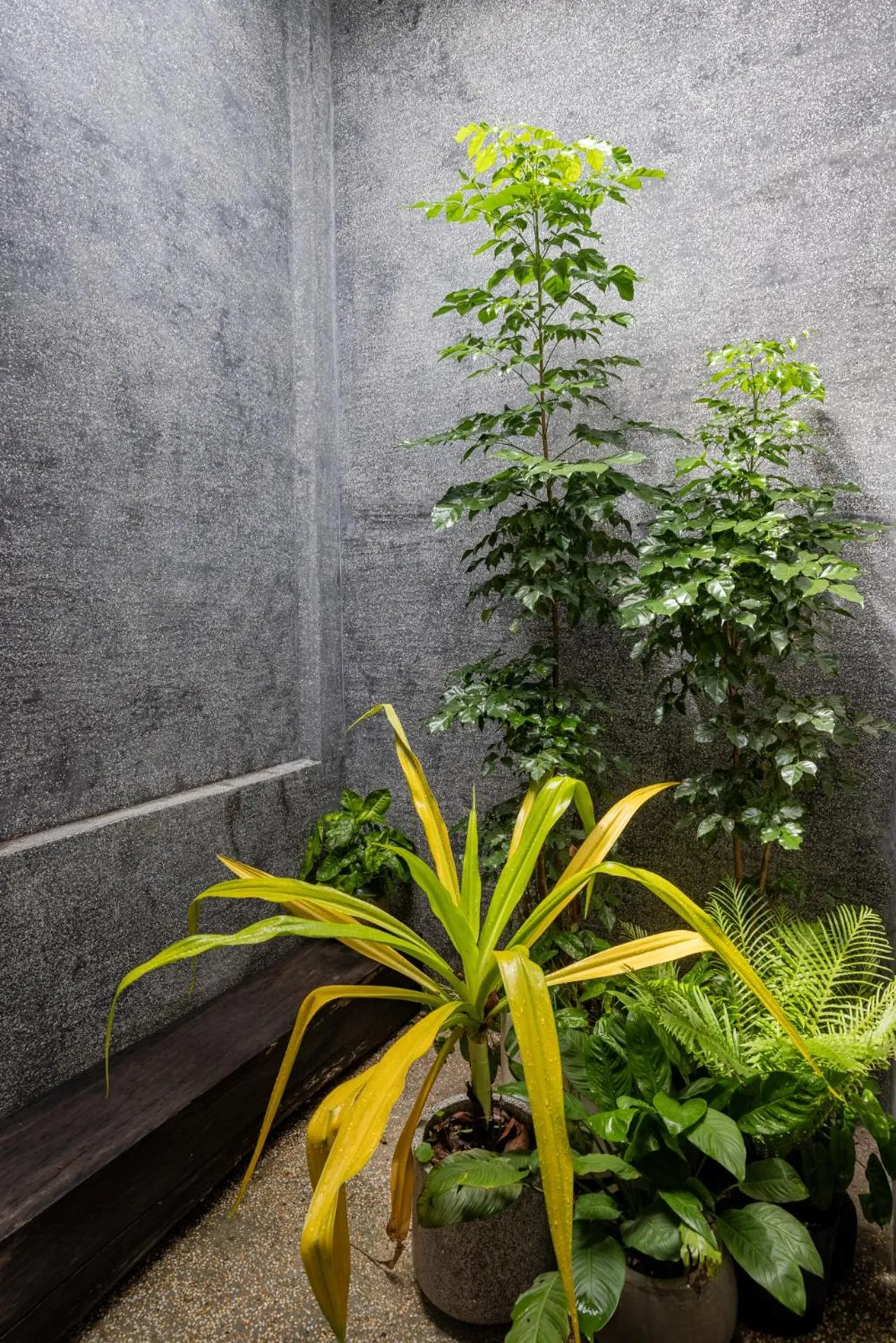 Bathroom in Payana Kampot