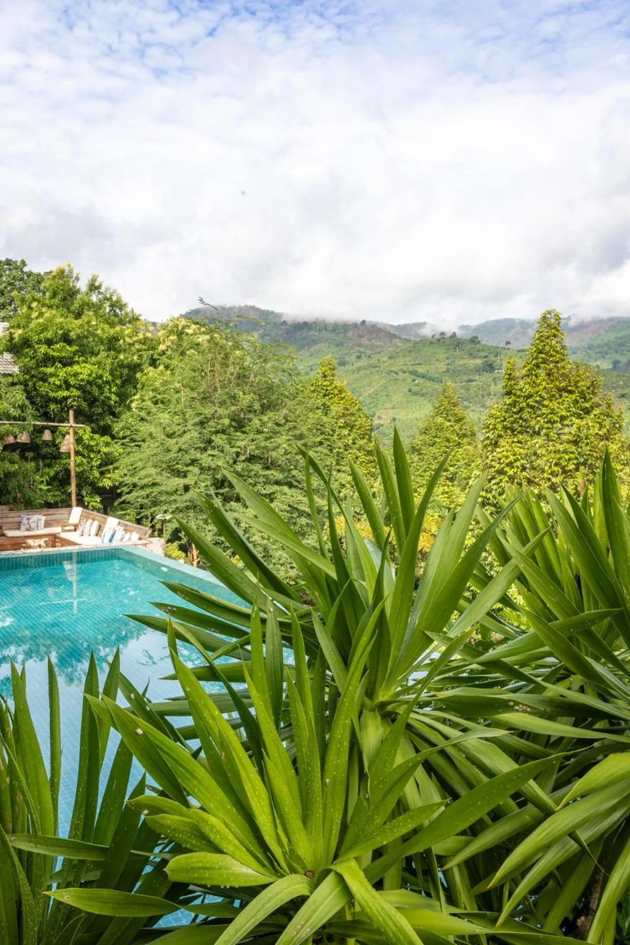 Swimming pool in Payana Kampot