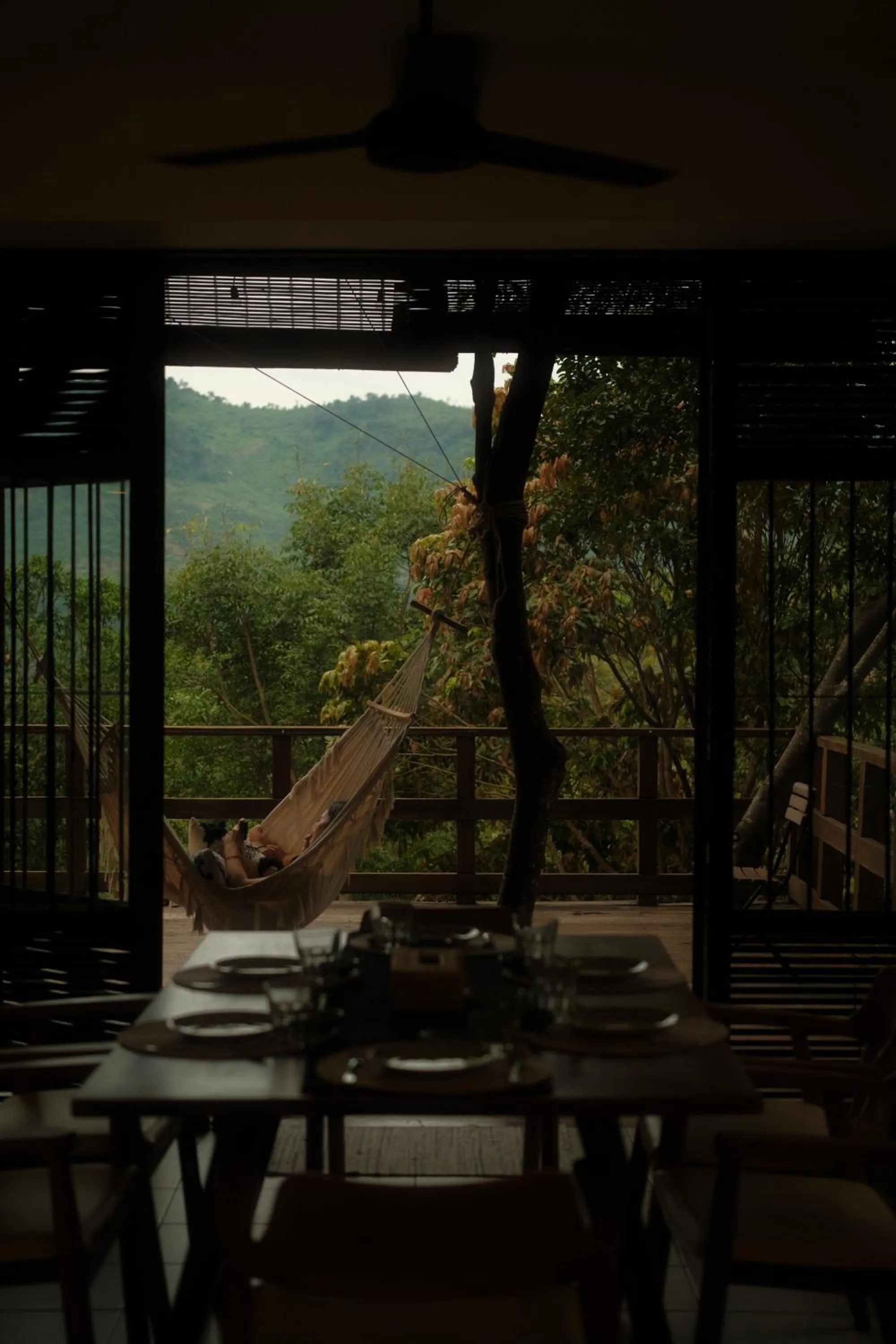 View (from property/room) in Payana Kampot