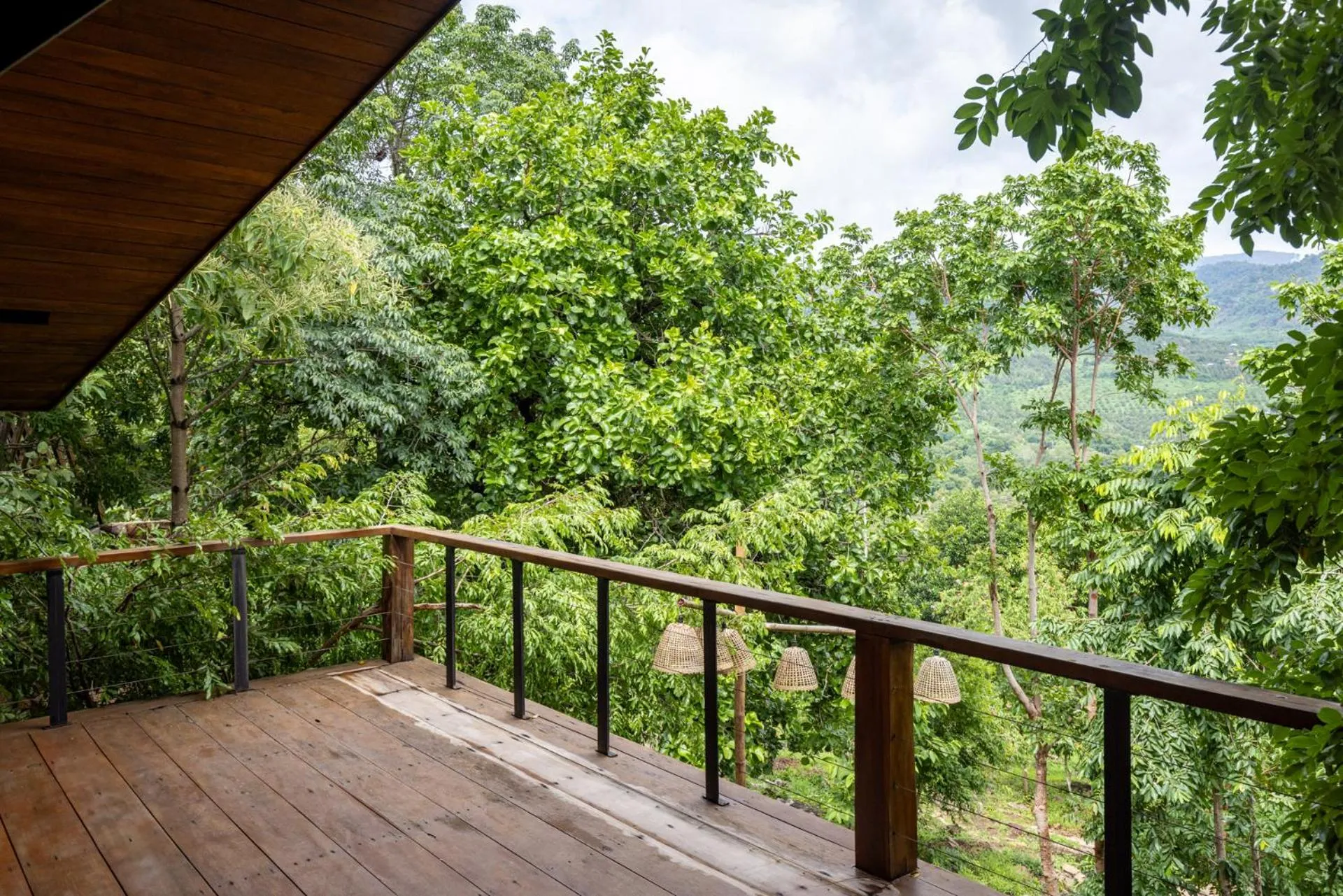 View (from property/room) in Payana Kampot
