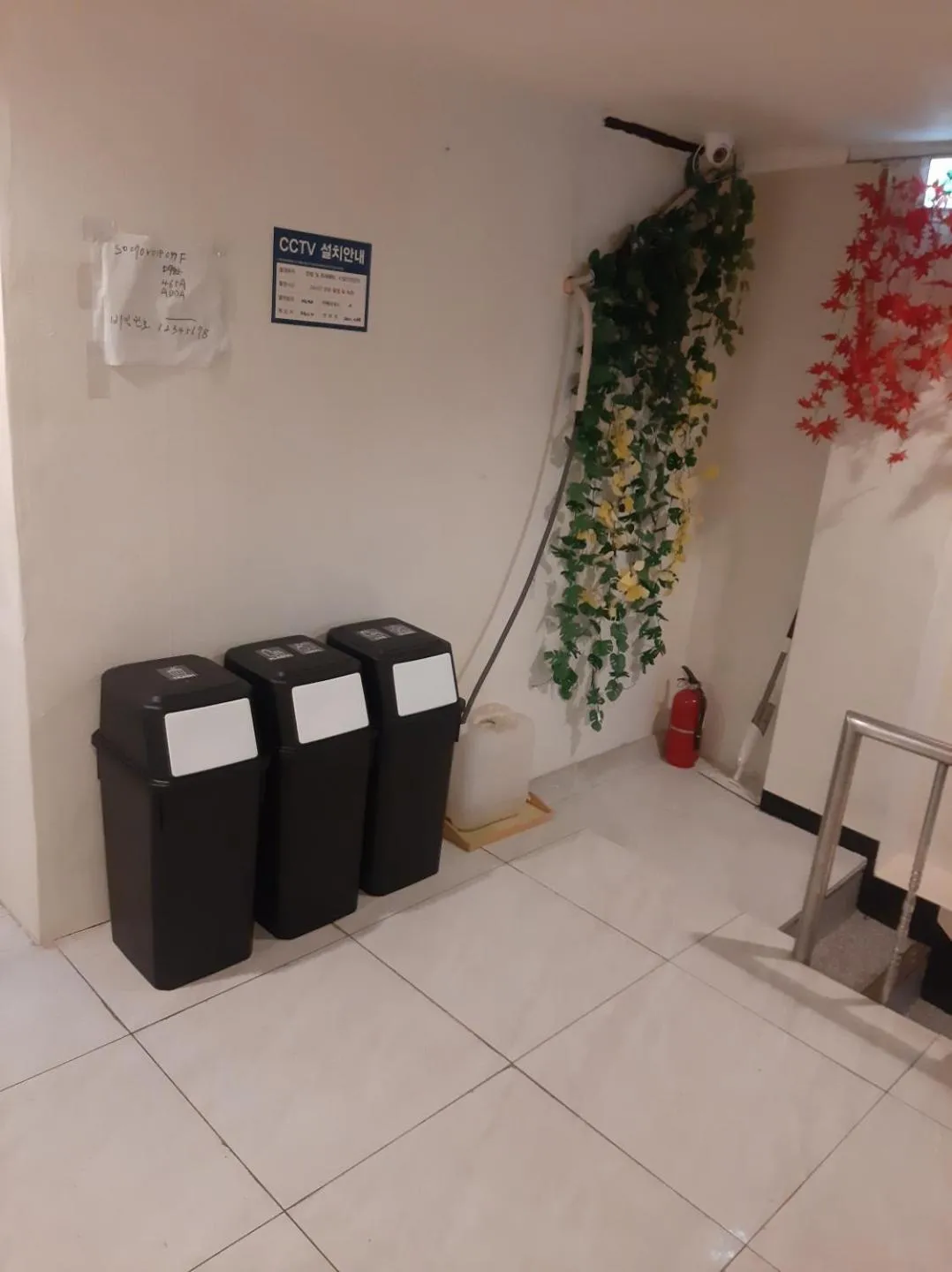 ELO Hostel