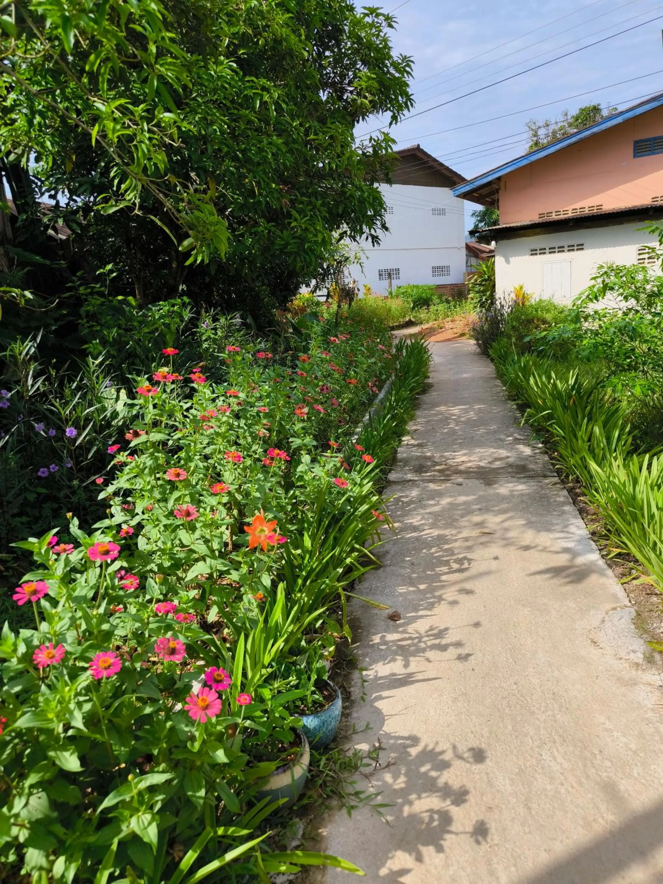 VangVieng Dokchampa Resort