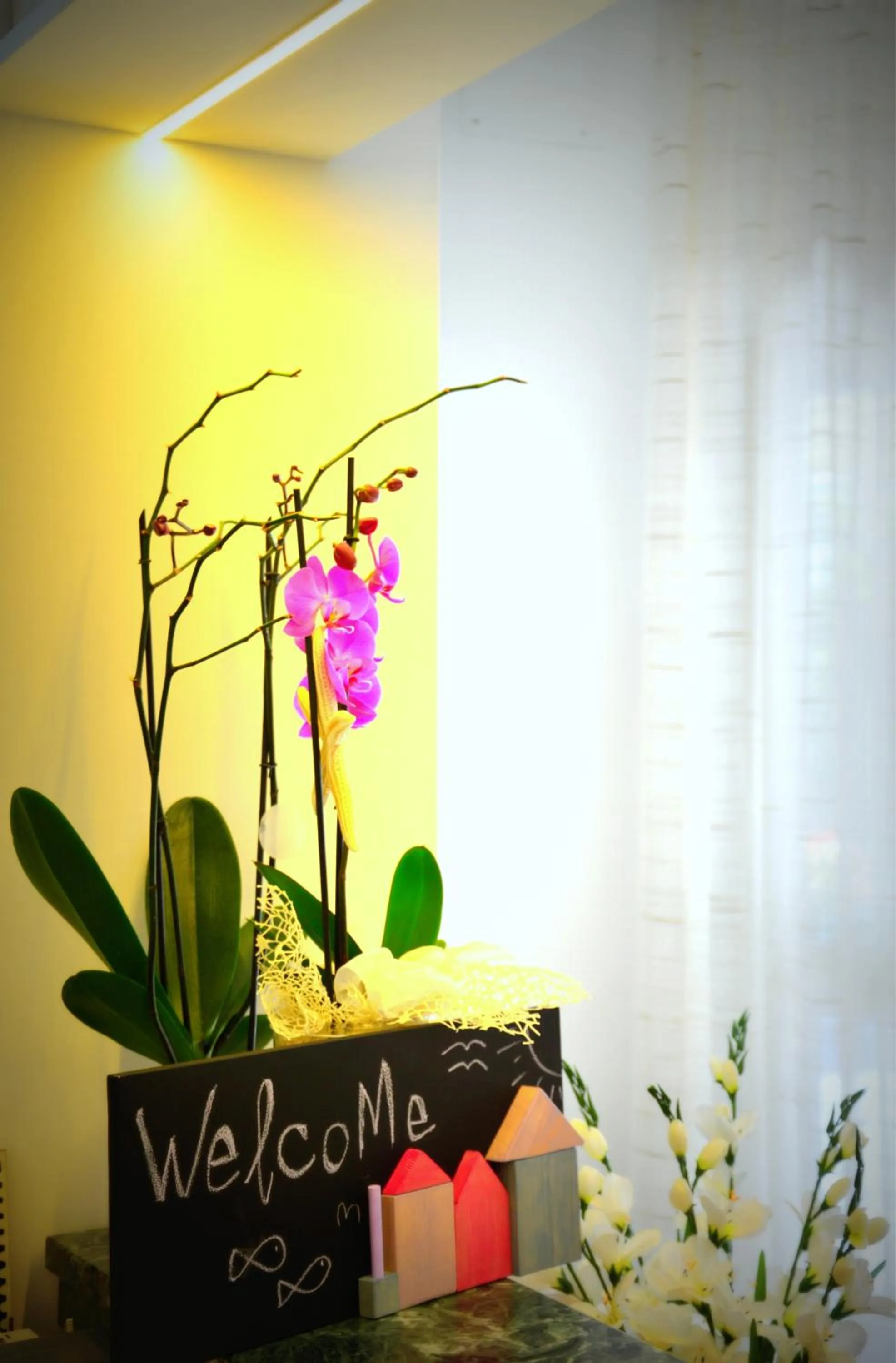 Lobby or reception in Hotel Luana