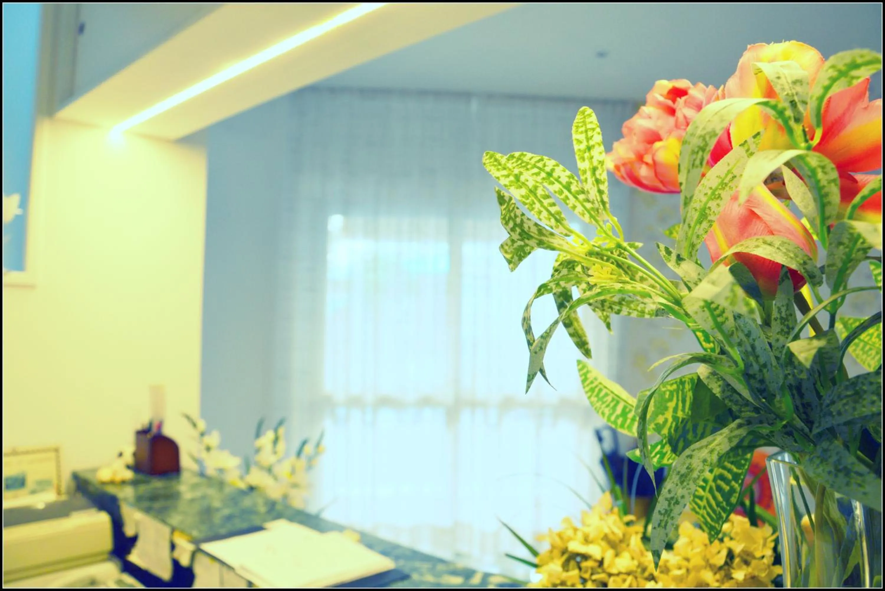 Lobby or reception in Hotel Luana