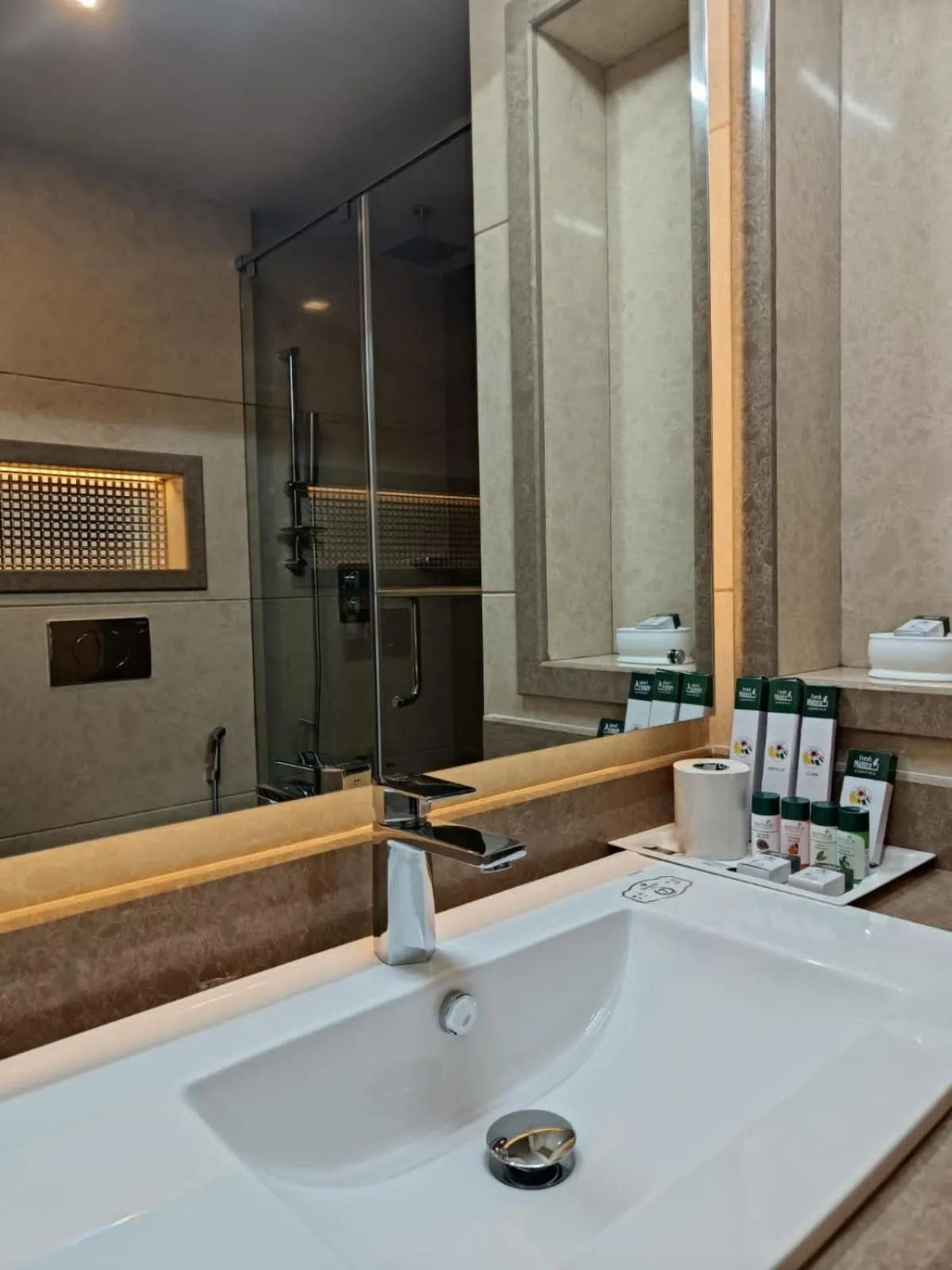 Bathroom in KTDC Tea county