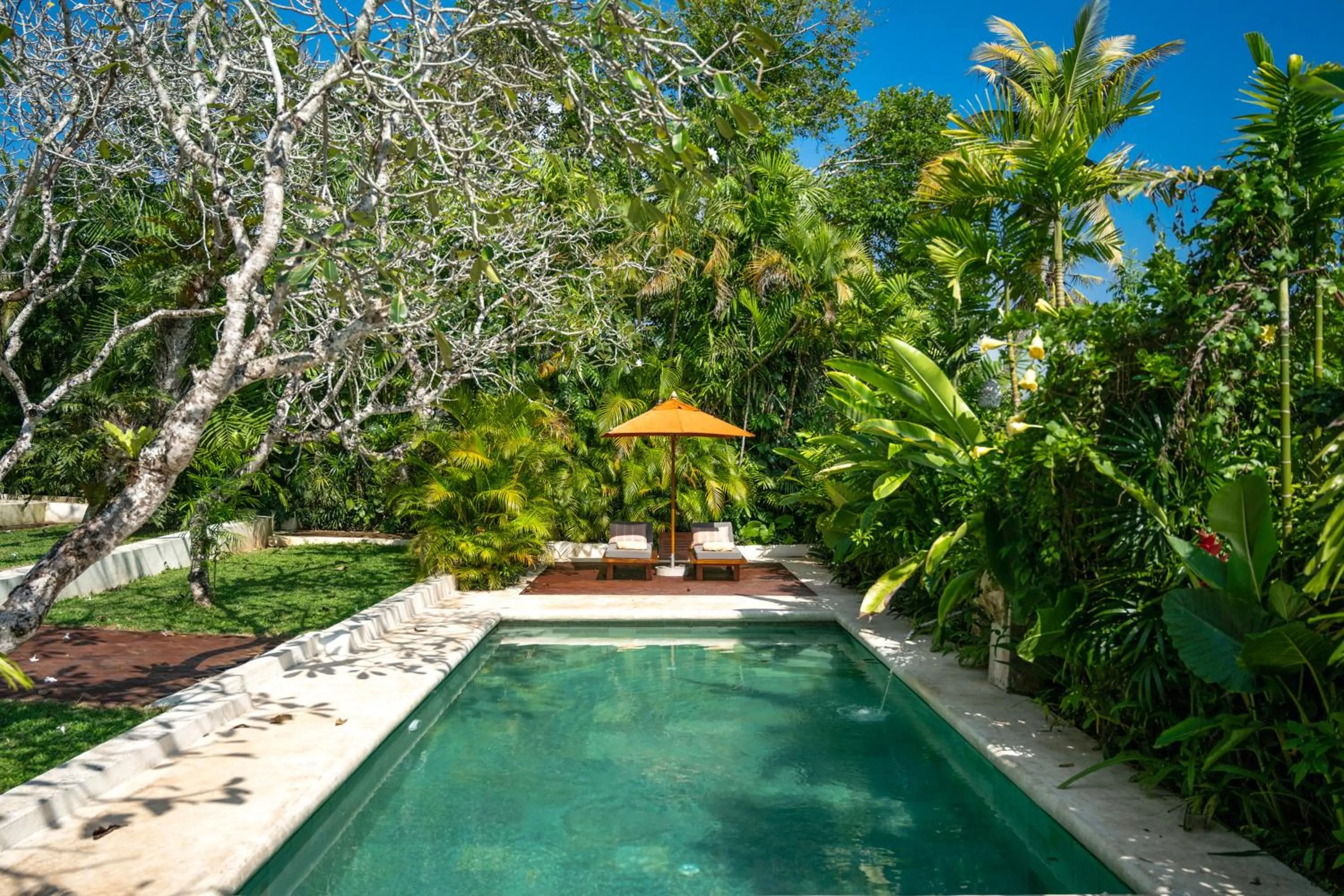Swimming pool in The Sun House