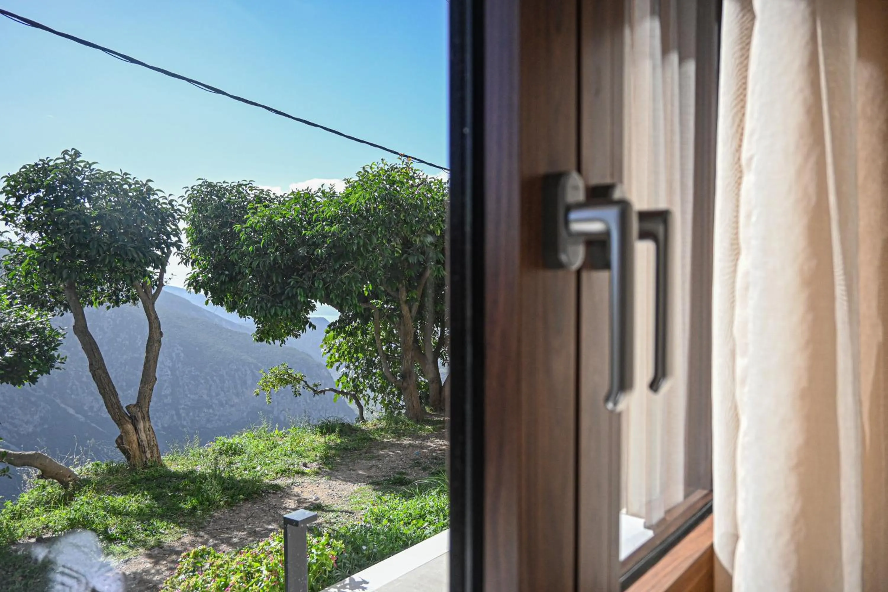 Garden view in Komody Apartments