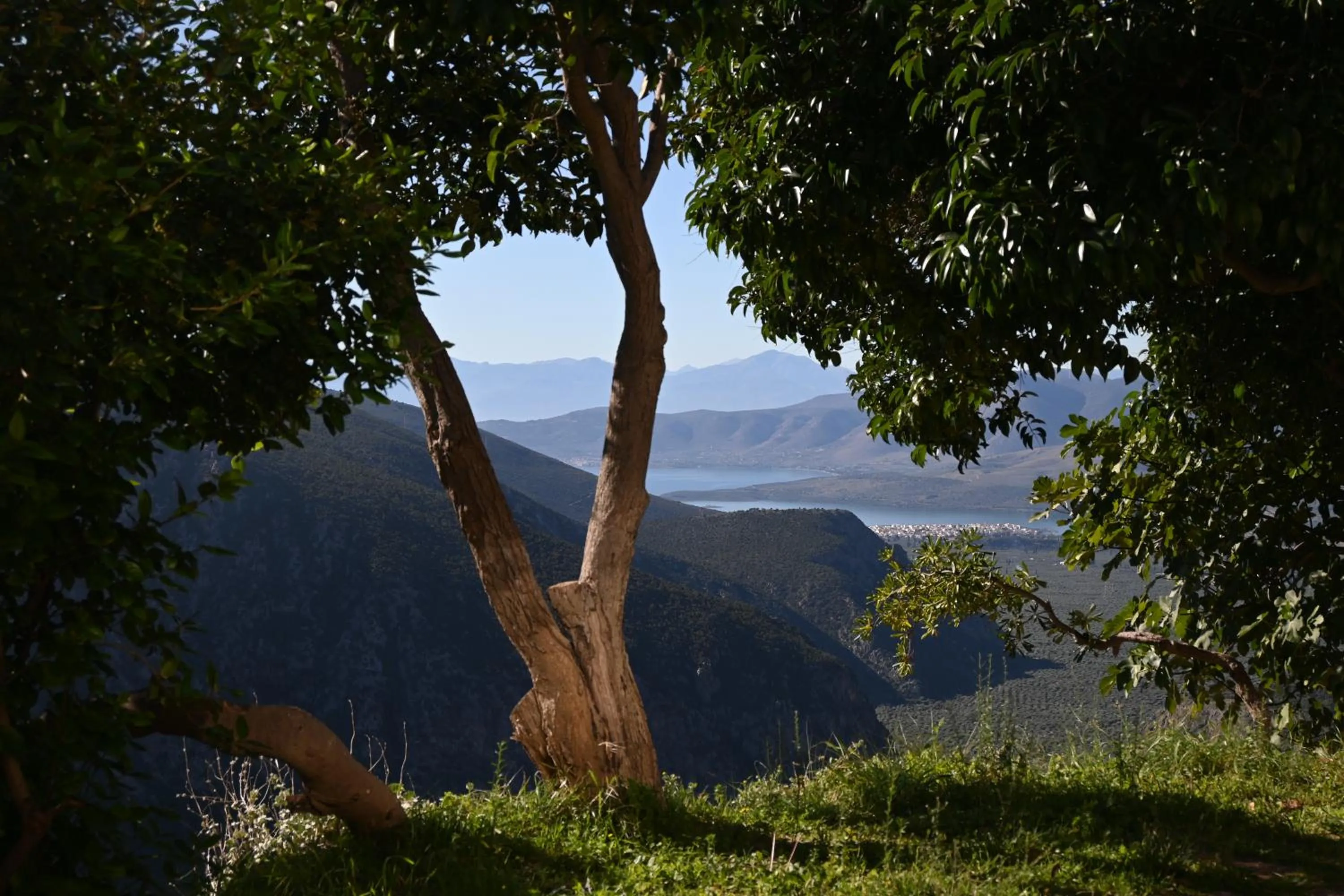 View (from property/room) in Komody Apartments