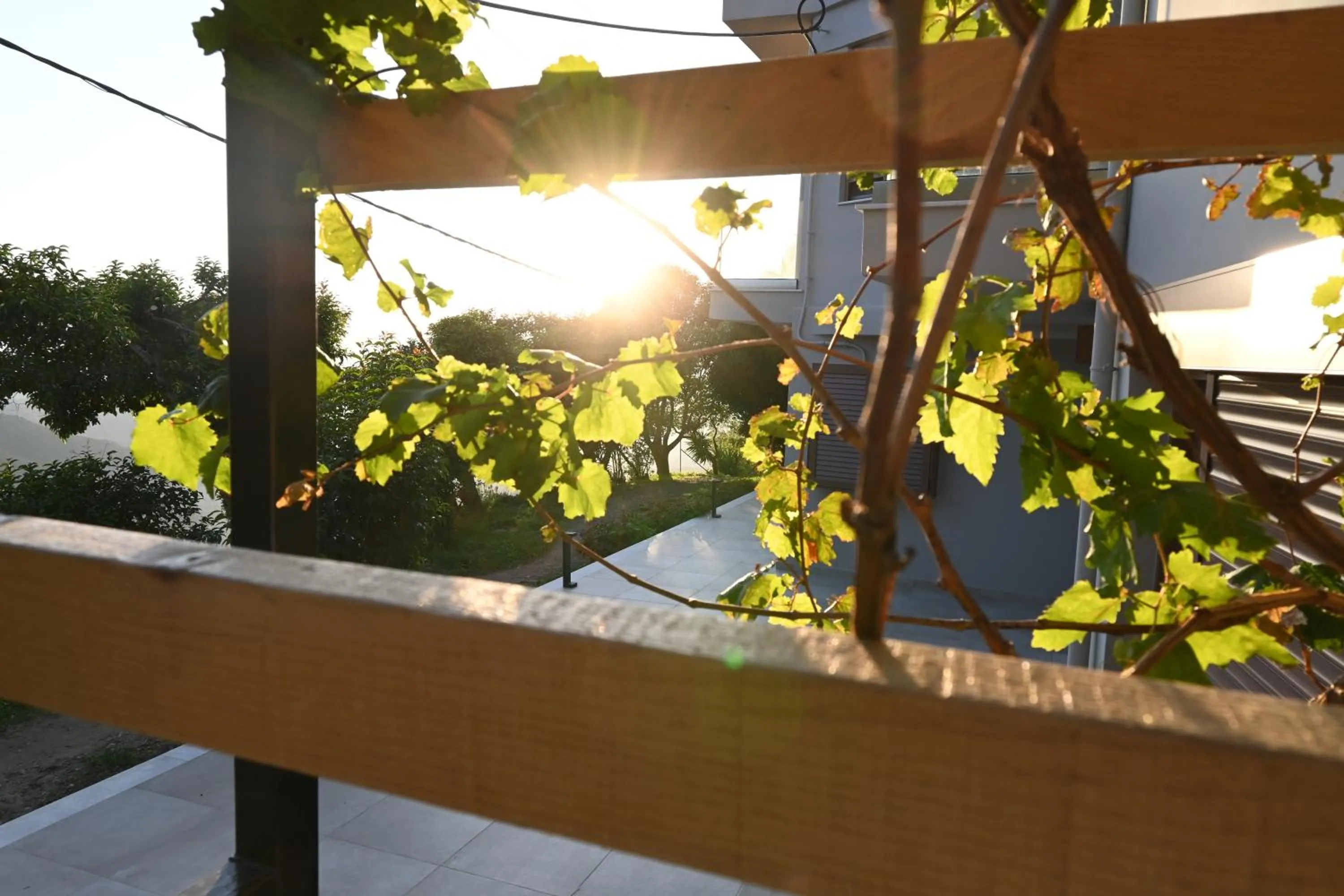 Garden view in Komody Apartments