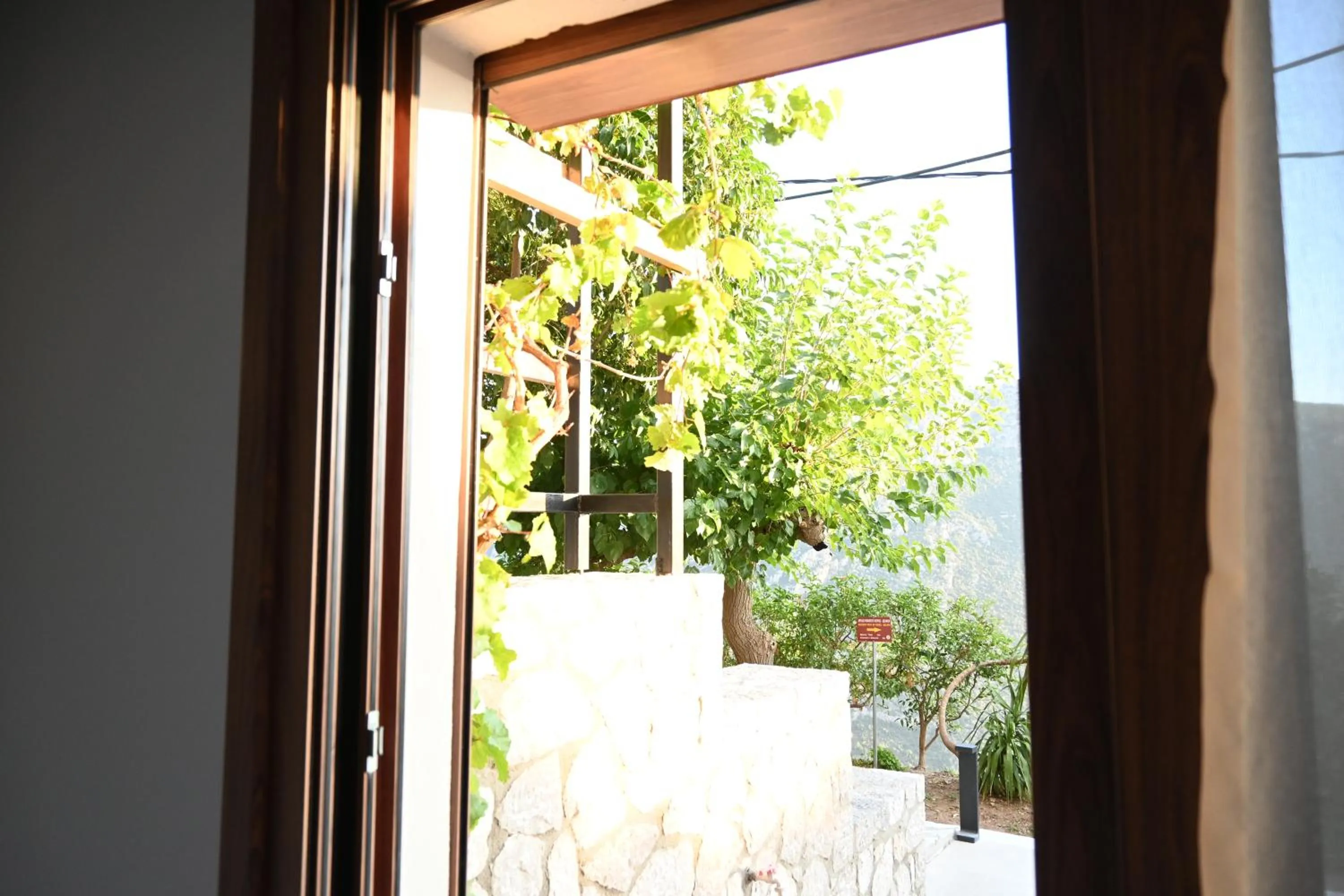 Garden view in Komody Apartments