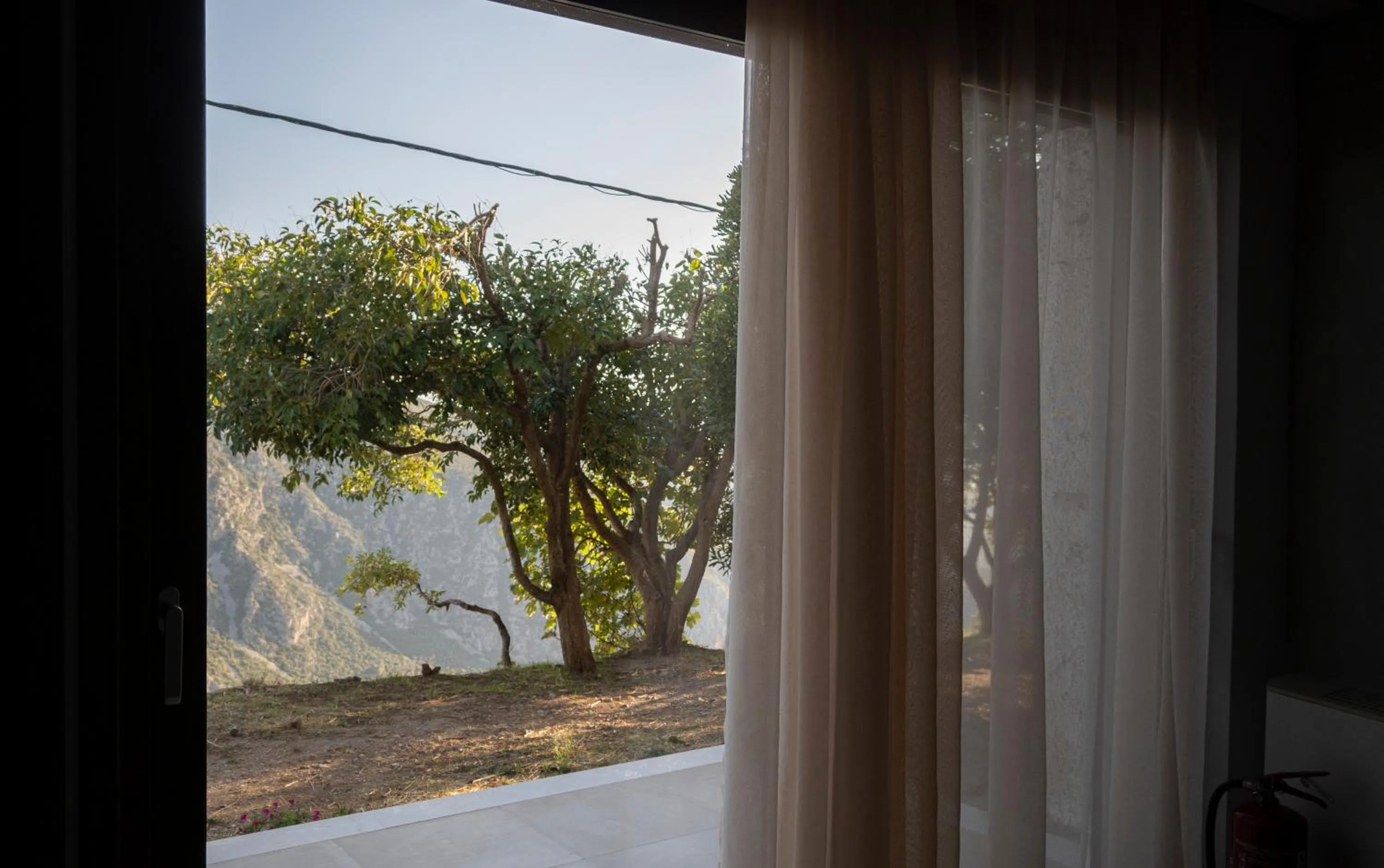 Garden view in Komody Apartments