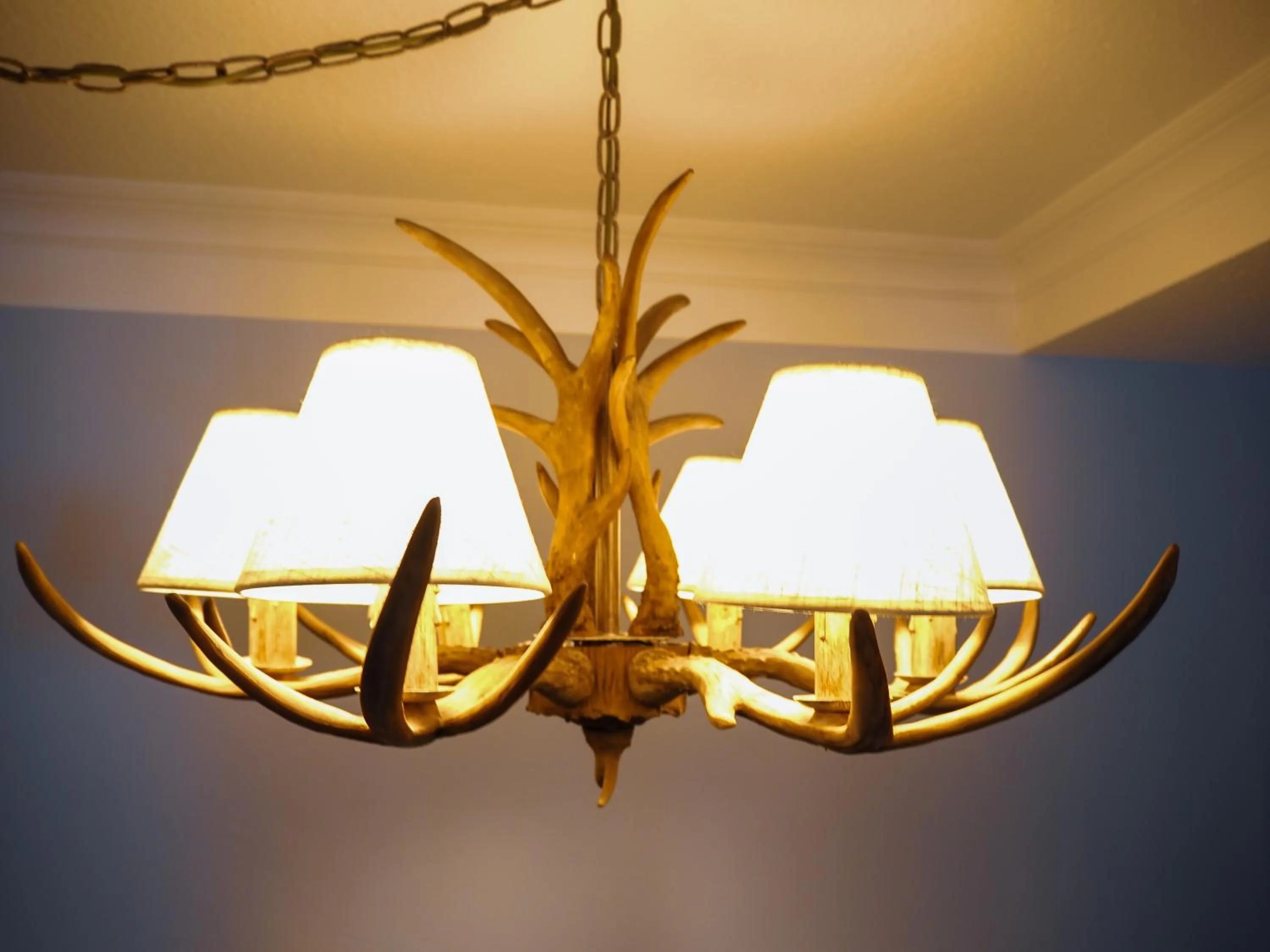 Living room in Design Hotel ALPENLIEBE - - - - Boutique-Flair - - - -