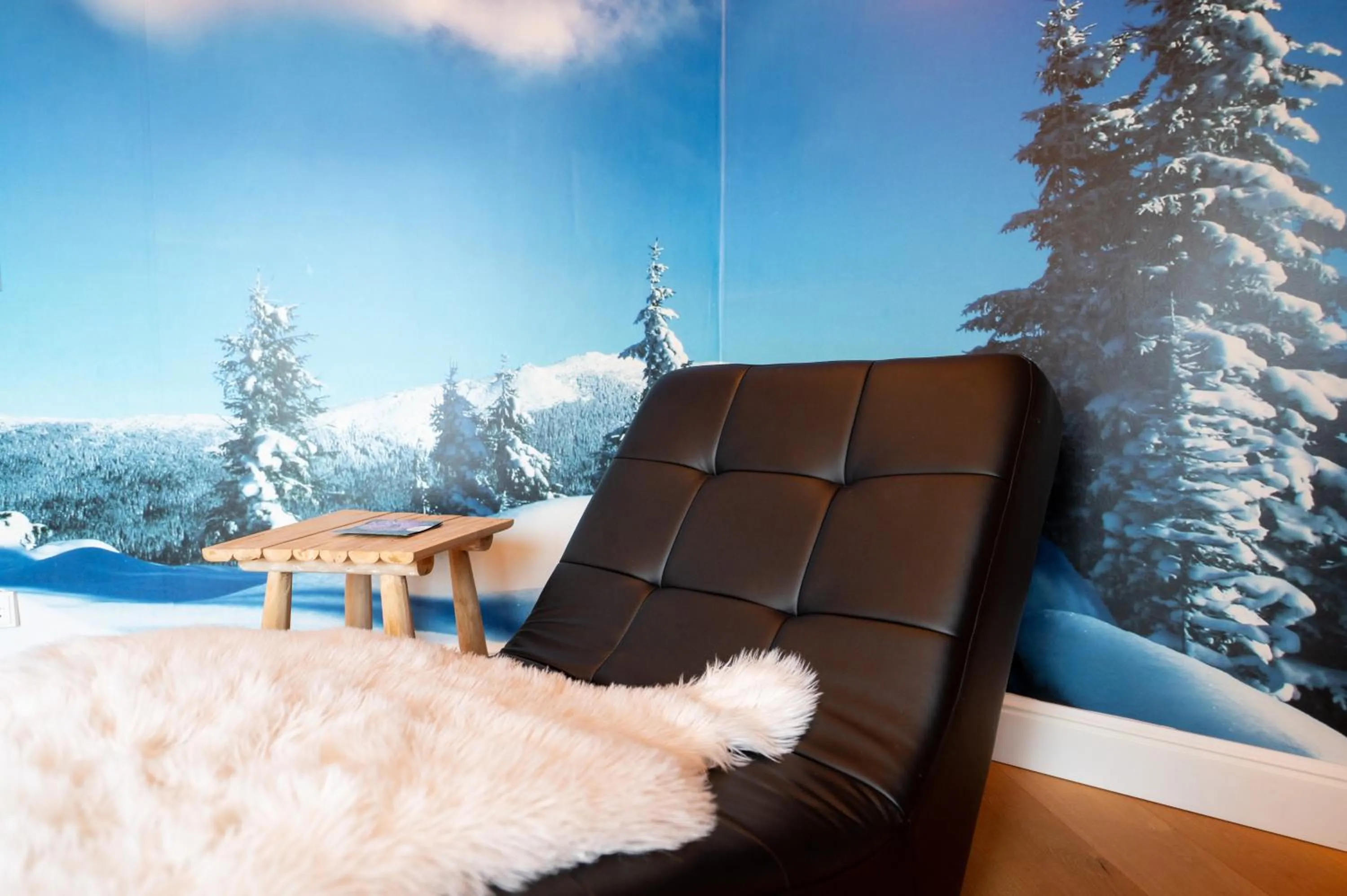 Photo of the whole room in Design Hotel ALPENLIEBE - - - - Boutique-Flair - - - -