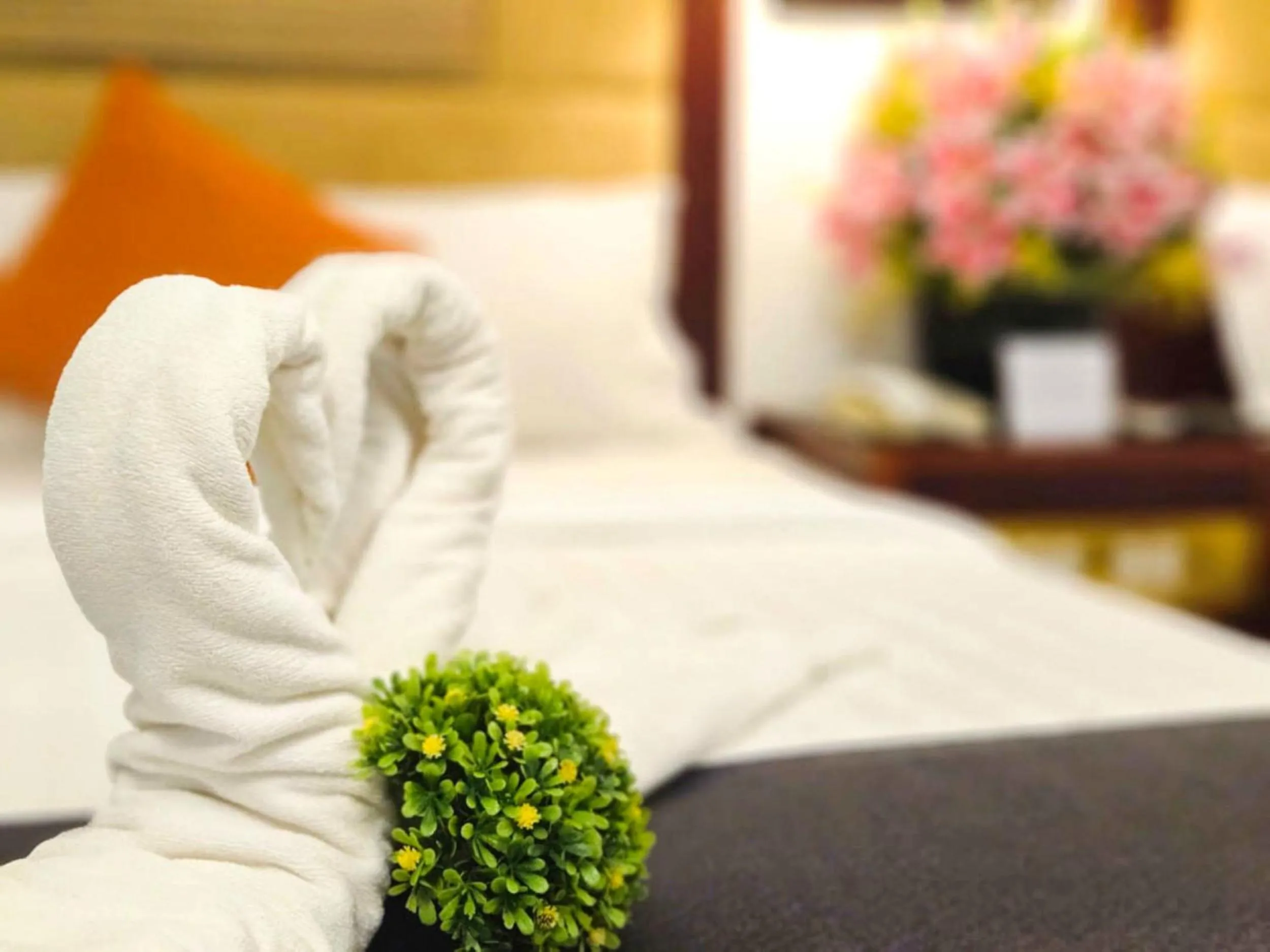 Bed in Swing & Pillows - Bandar Kuantan