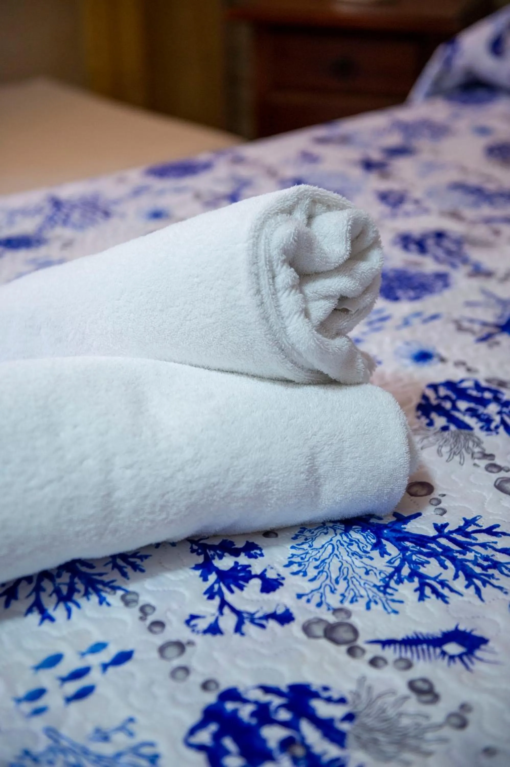 B&B Appartamenti l'Anfora
