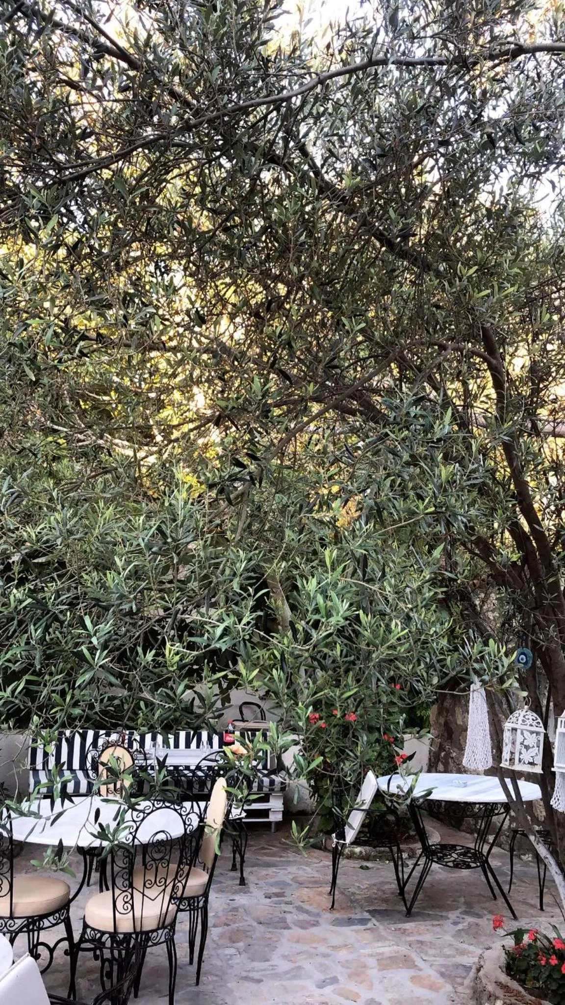 Patio in Çakir Bey Hotel