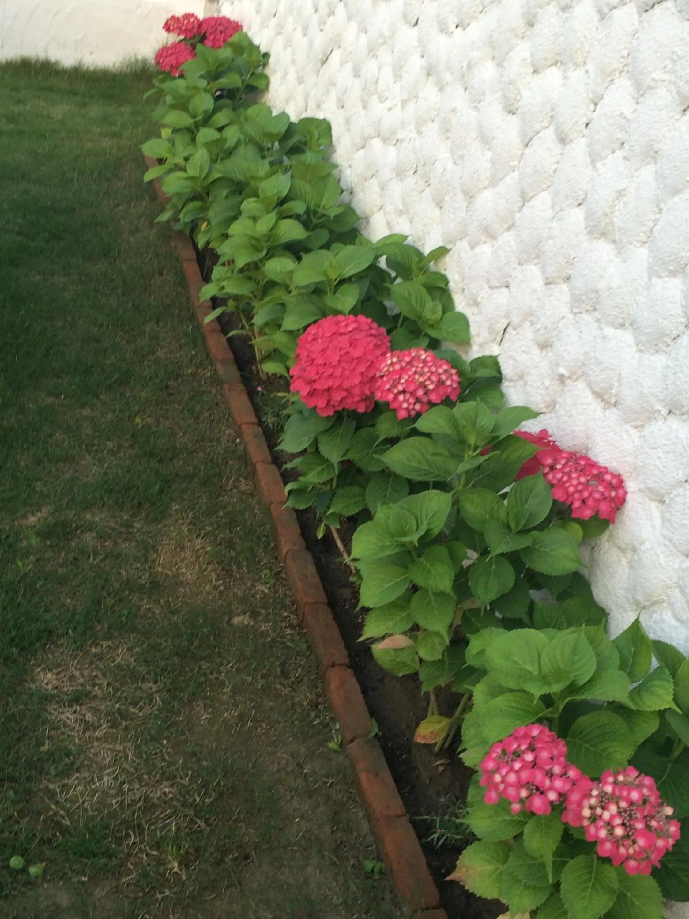 Property building in Çakir Bey Hotel