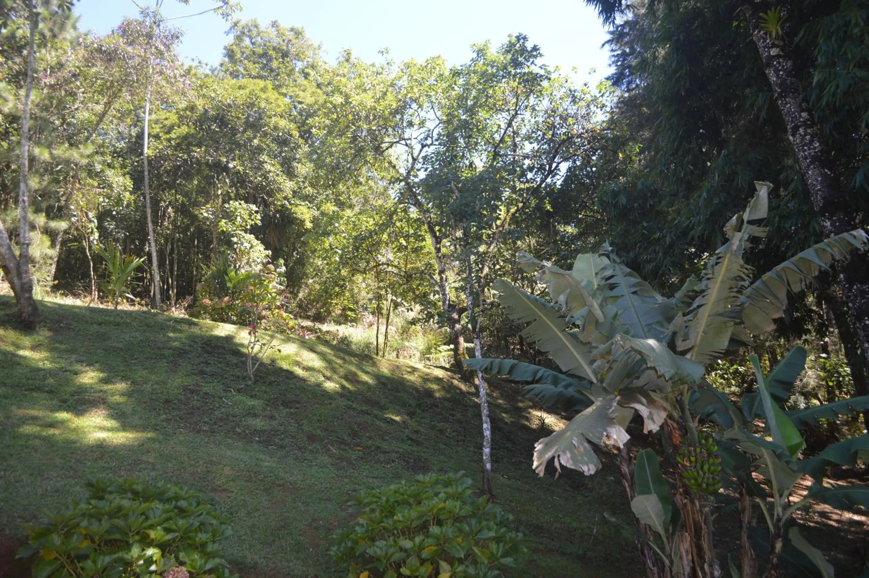 Garden in Pousada Refúgio das Aves