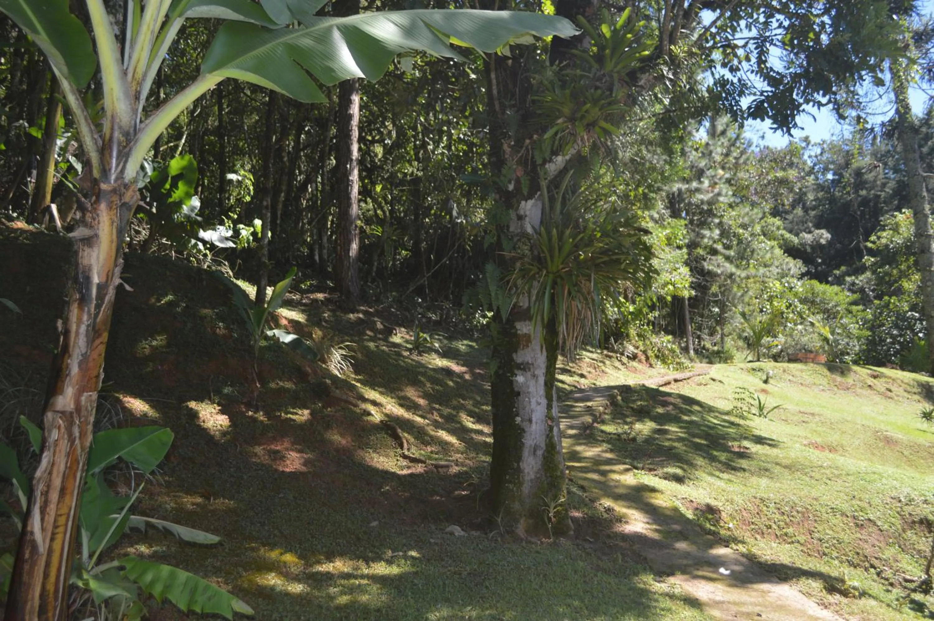 Garden in Pousada Refúgio das Aves