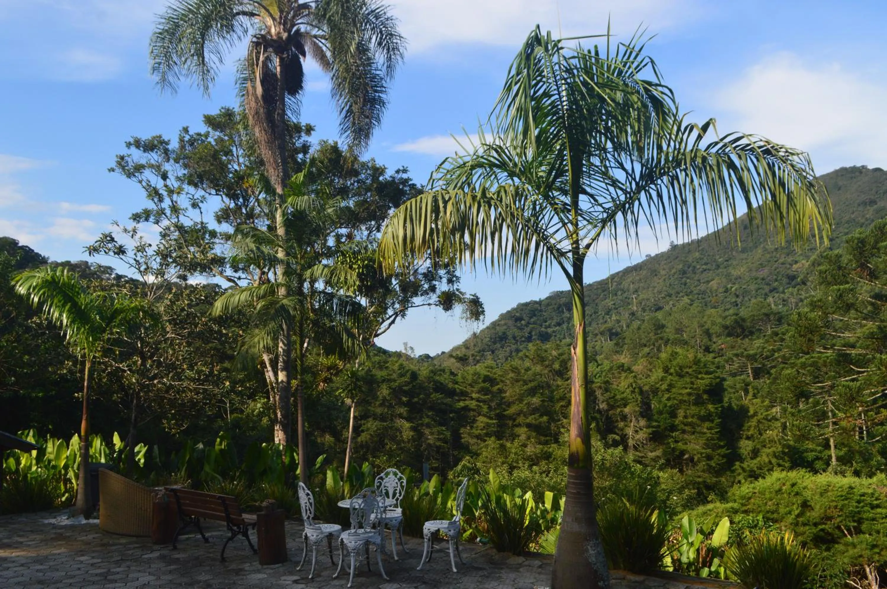 Natural landscape in Pousada Refúgio das Aves