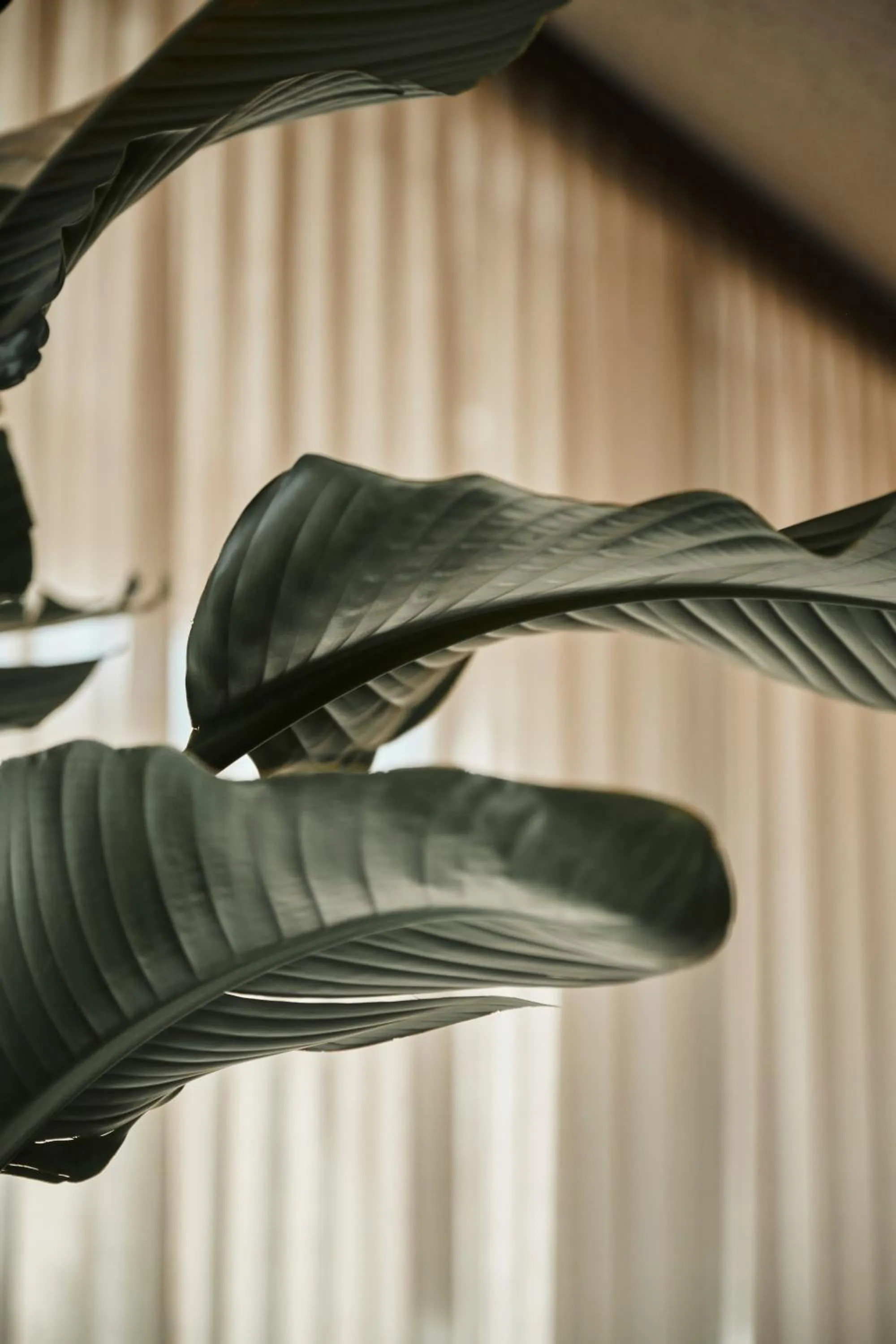 Spa and wellness centre/facilities in Nouri