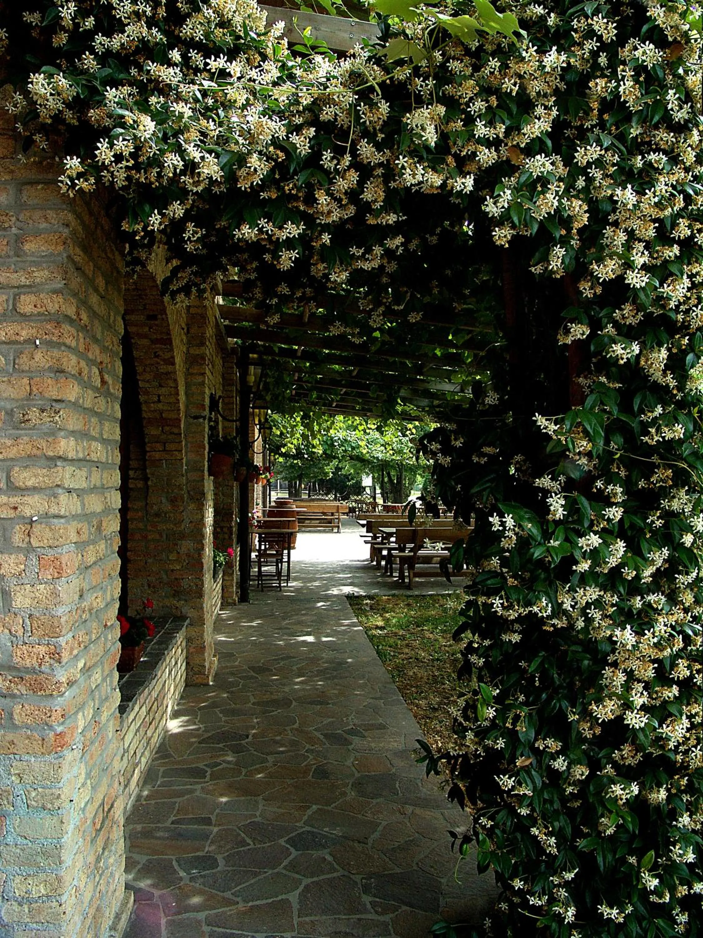 Patio in Agriturismo Isola Augusta