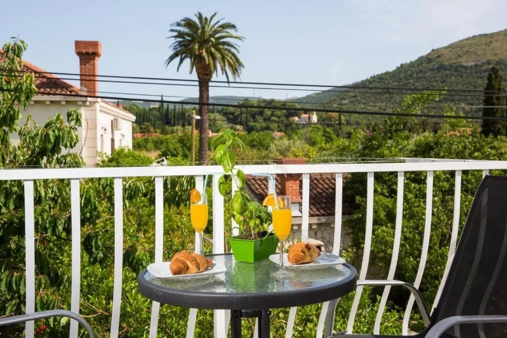 Balcony/Terrace in Apartments Villa Roza