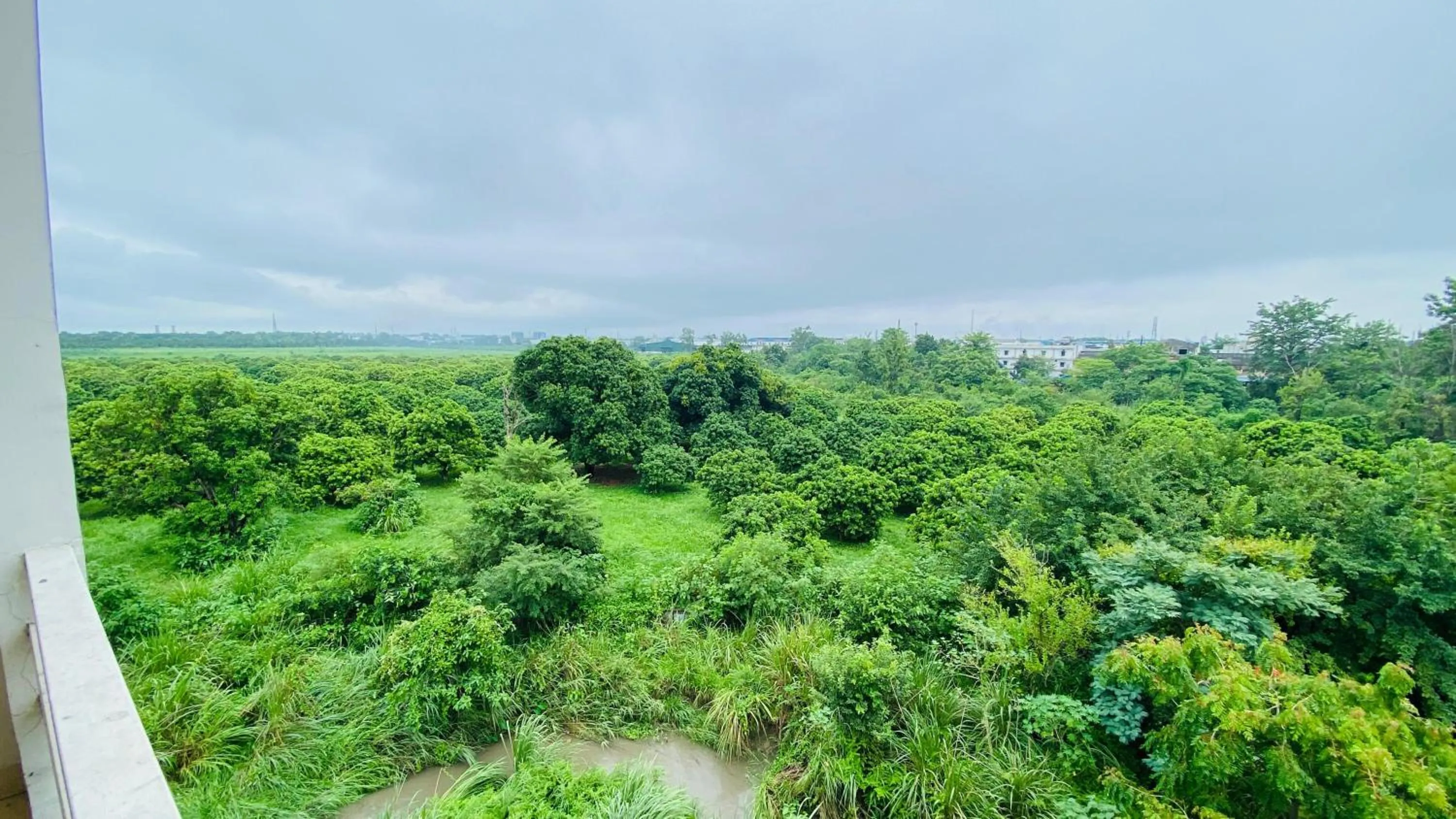 View (from property/room) in LivBox