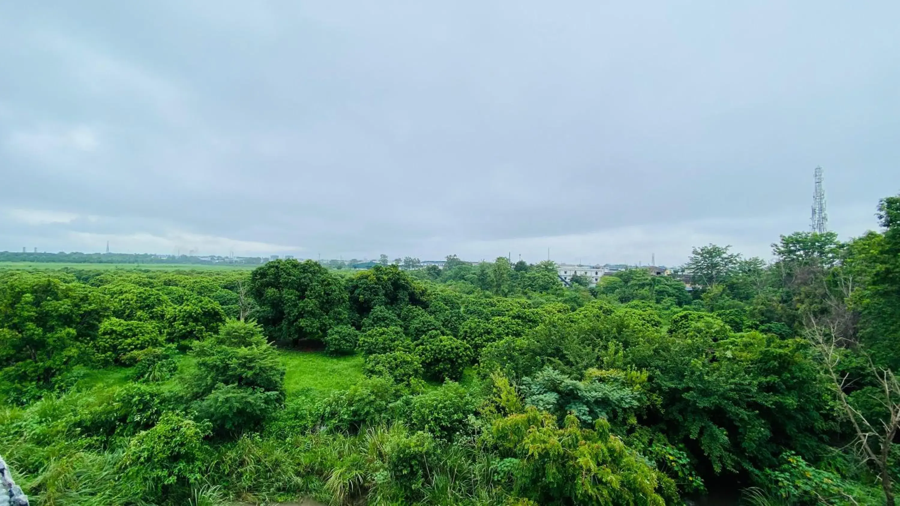 View (from property/room) in LivBox View (from property/room) in LivBox