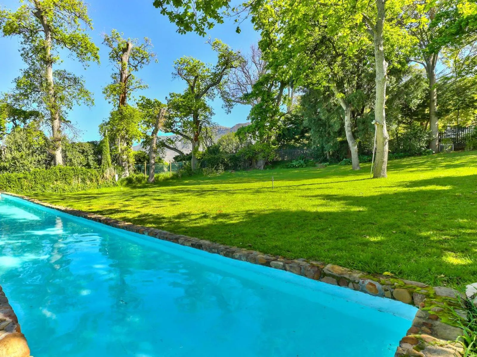 Swimming pool in Devonport House - Constantia