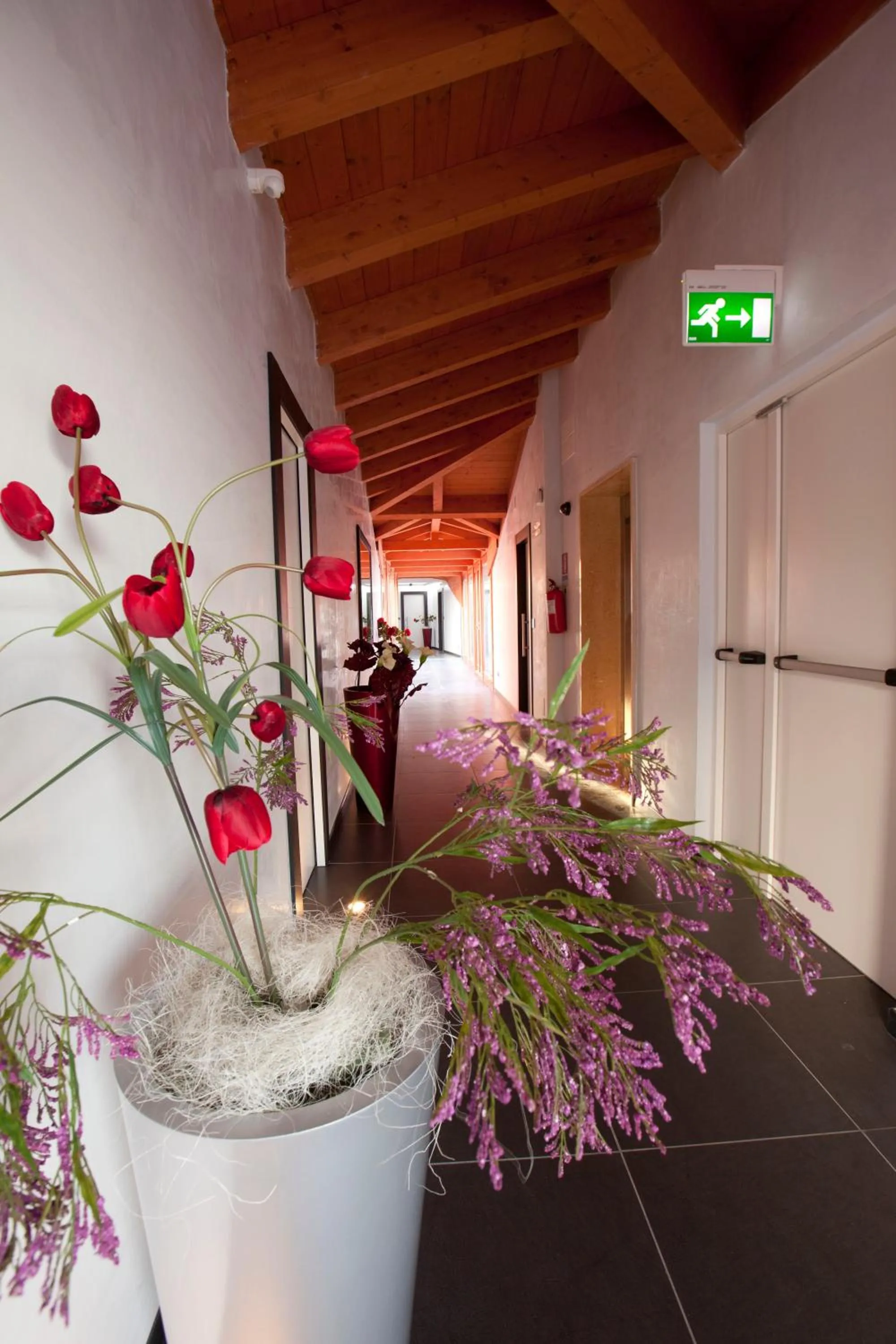 Day in Hotel Eridano