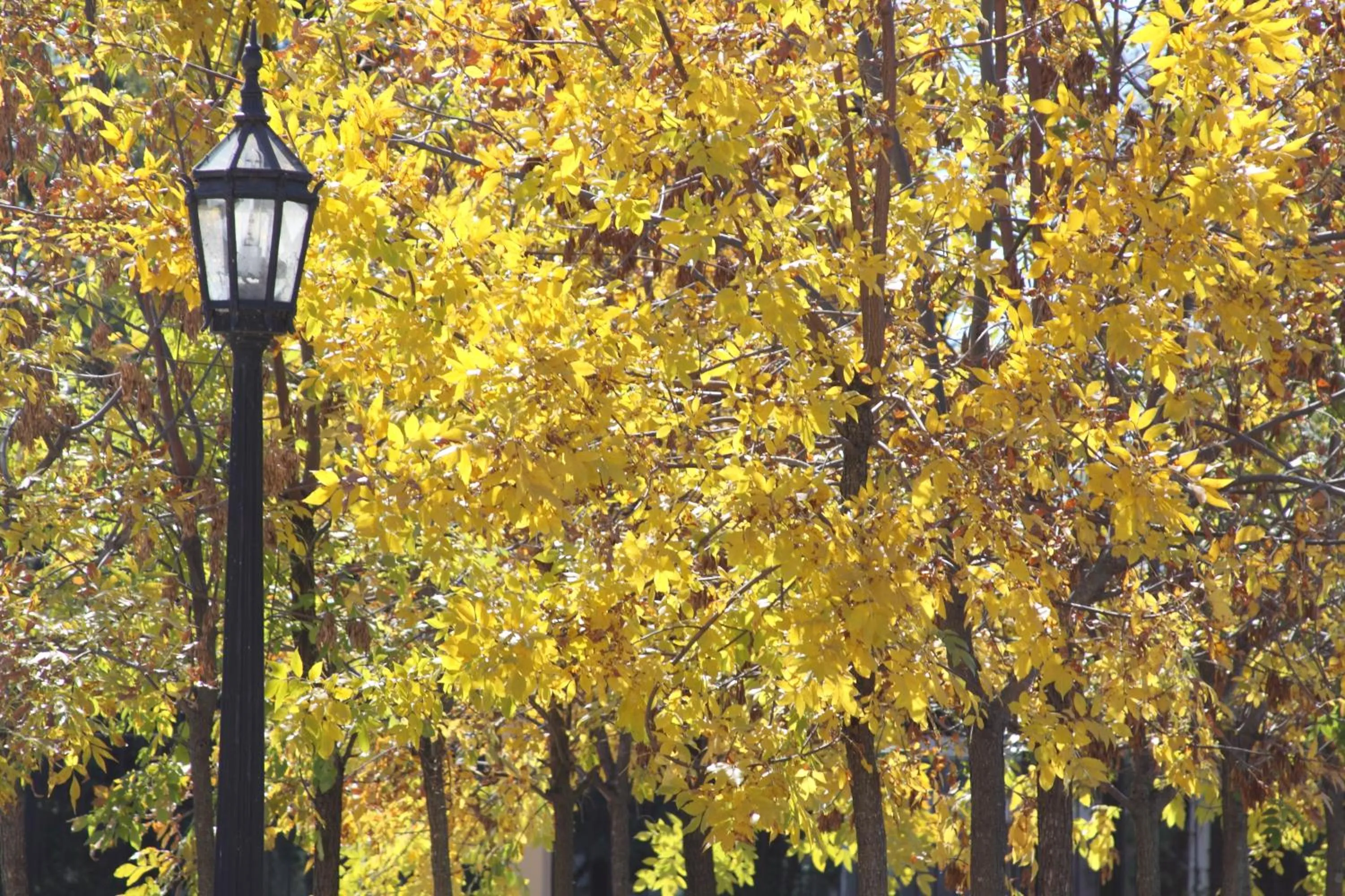 Other in Hotel Colonial San Nicolás