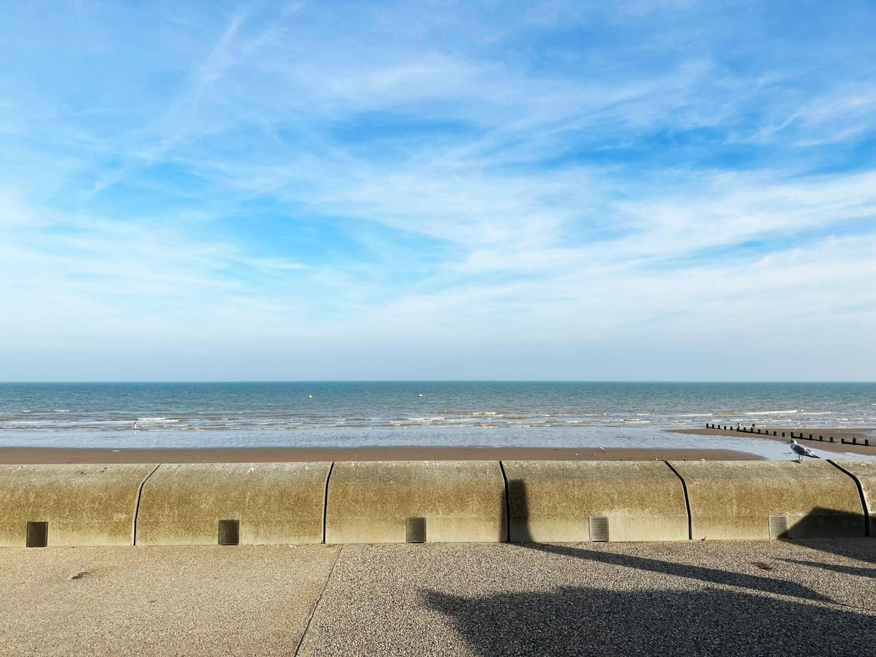 Natural landscape in Ocean View Suite - Near Hythe - On Beach Seafront - Private Parking