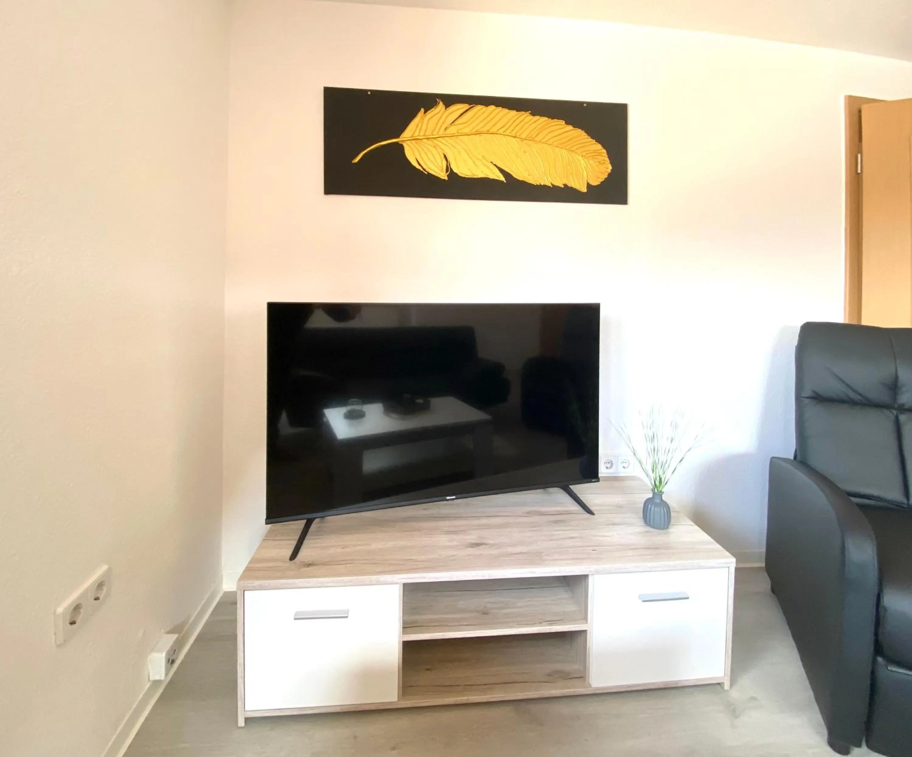TV and multimedia in Gemütliche Unterkünfte für längeren Aufenthalt und Monteure inkl Balkon, Waschmaschine, WiFi, Küche und Parkplatz