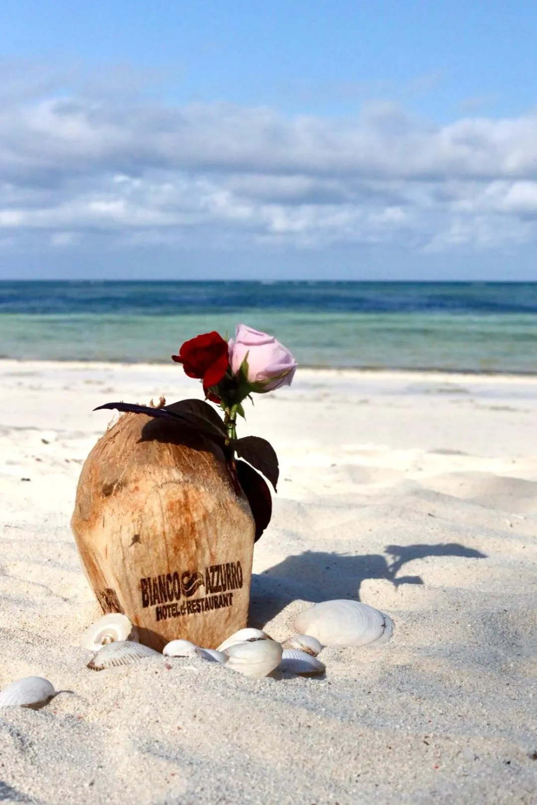 BIANCO AZZURRO Hotel & Restaurant