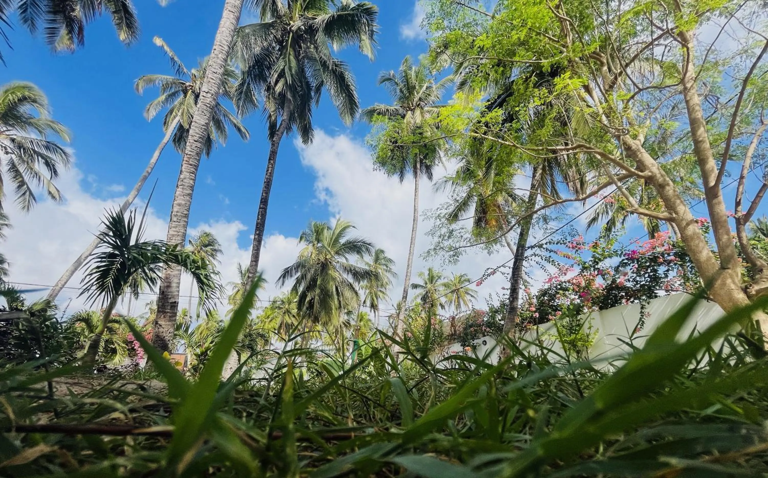 BIANCO AZZURRO Hotel & Restaurant