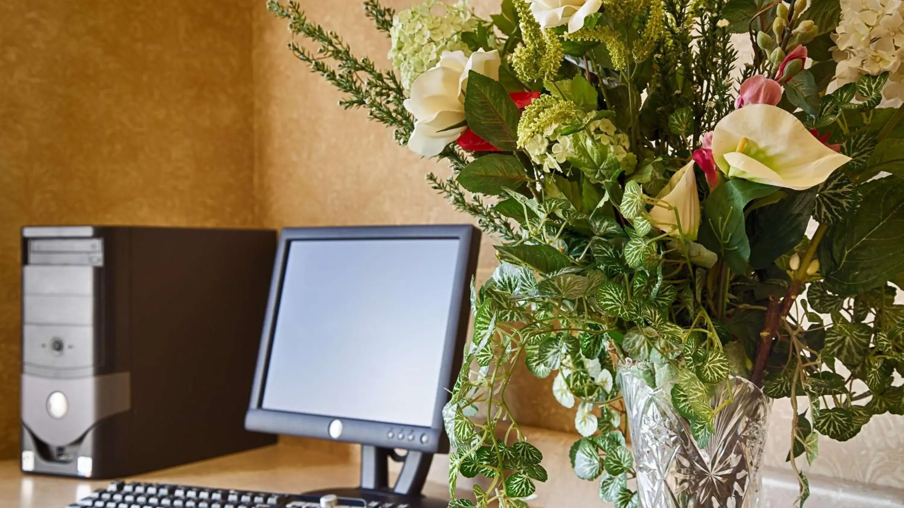 Lobby or reception in Best Western Penn-Ohio Inn & Suites Lobby or reception in Best Western Penn-Ohio Inn & Suites