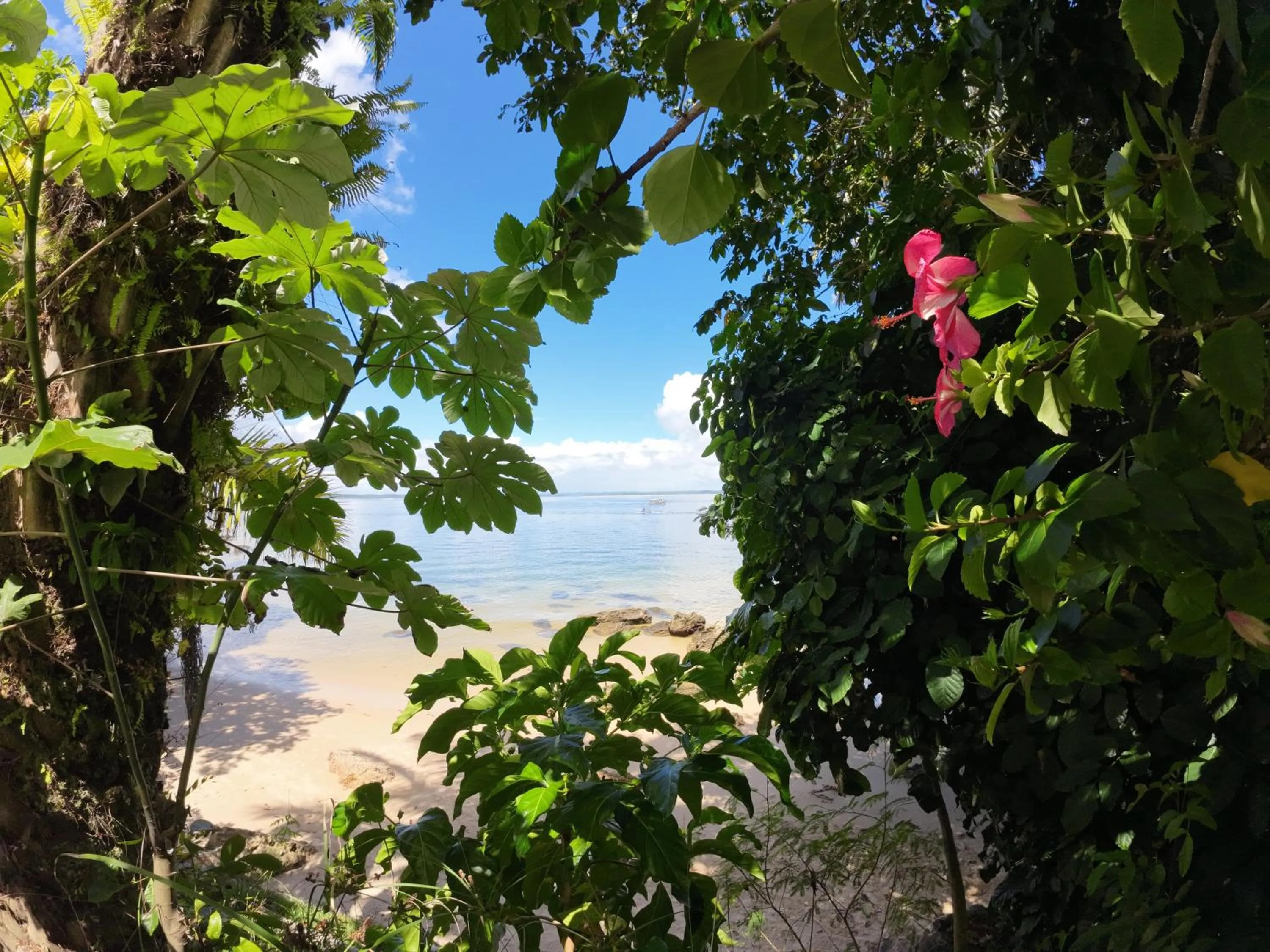 Garden view in Pousada Ponta Das Pedras