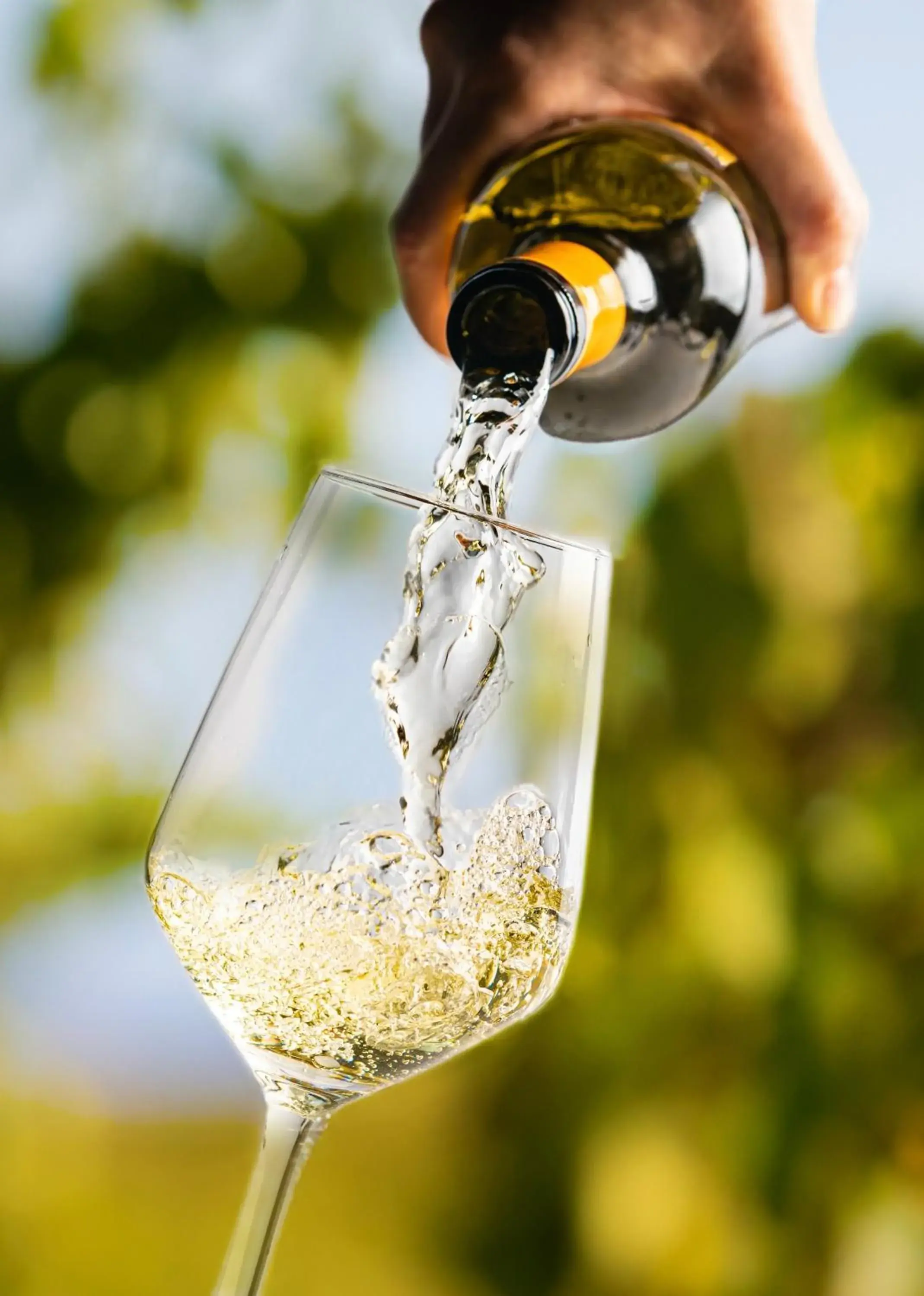 Lounge or bar in Meeting House Boutique Hotel Lounge or bar in Meeting House Boutique Hotel