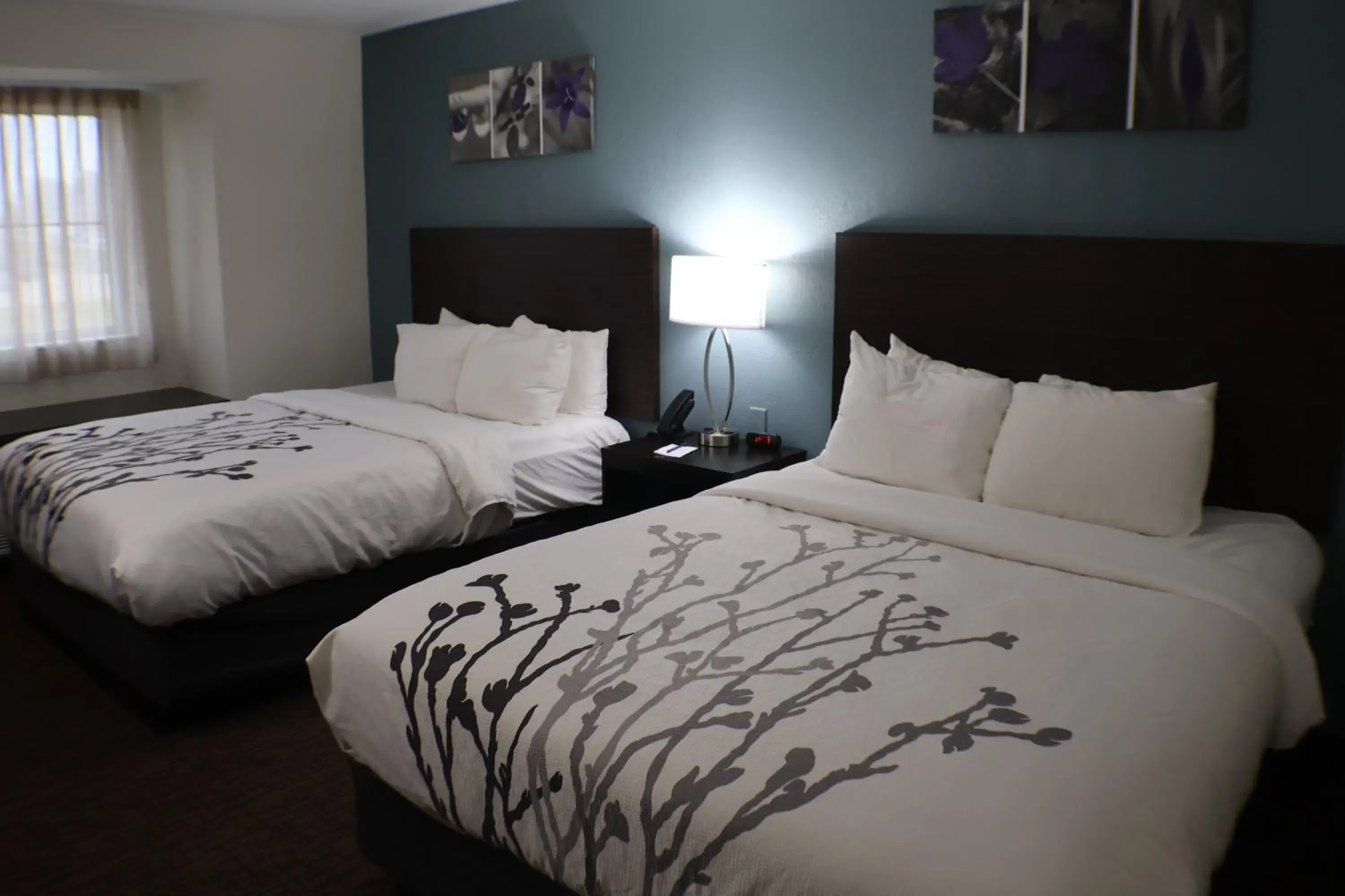 Bed in Sleep Inn Marion - Cedar Rapids Bed in Sleep Inn Marion - Cedar Rapids