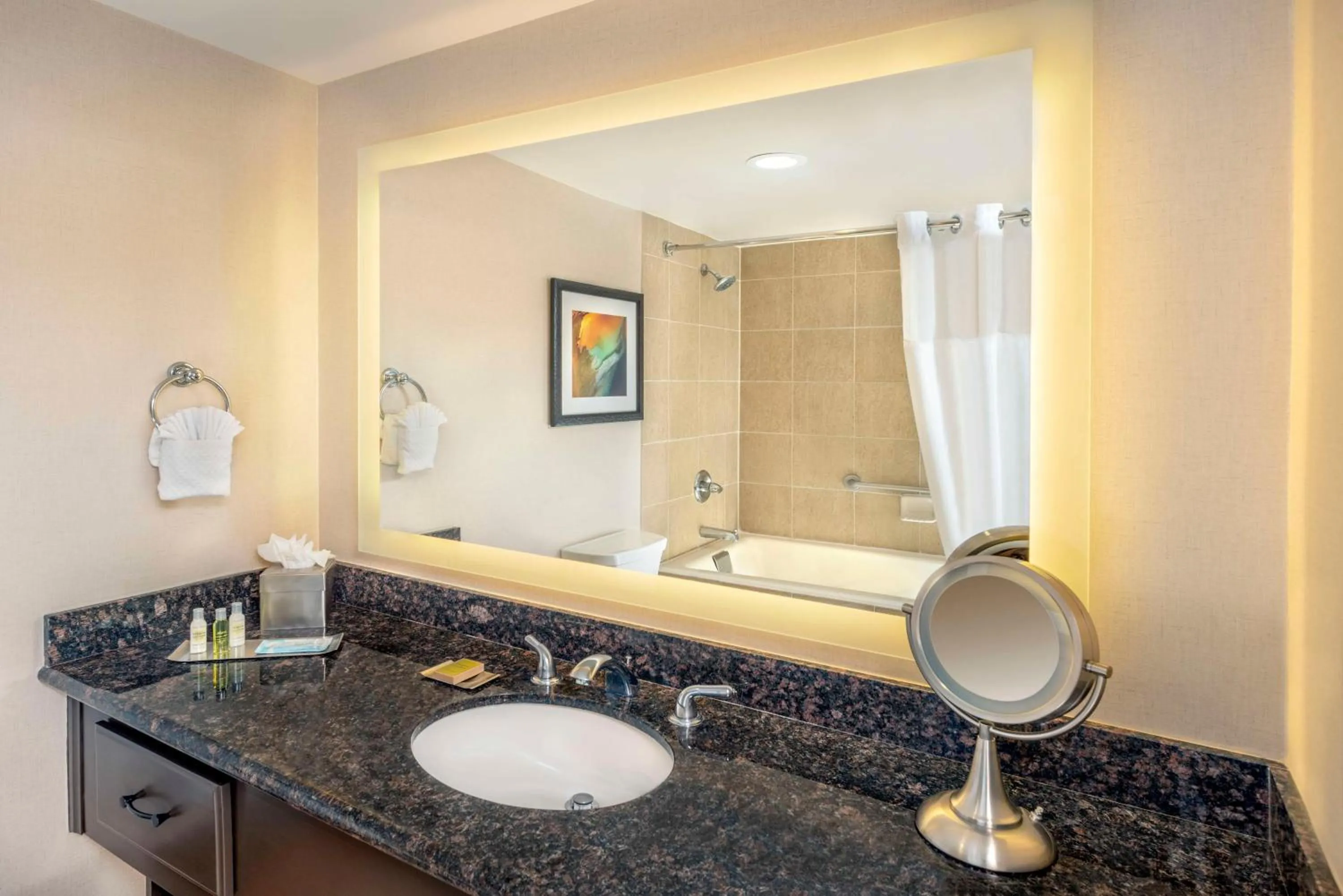 Bathroom in DoubleTree by Hilton San Bernardino