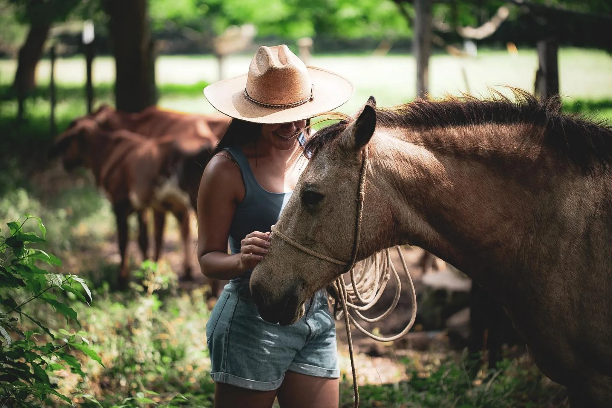 Natural landscape in Waka Hotel Rural