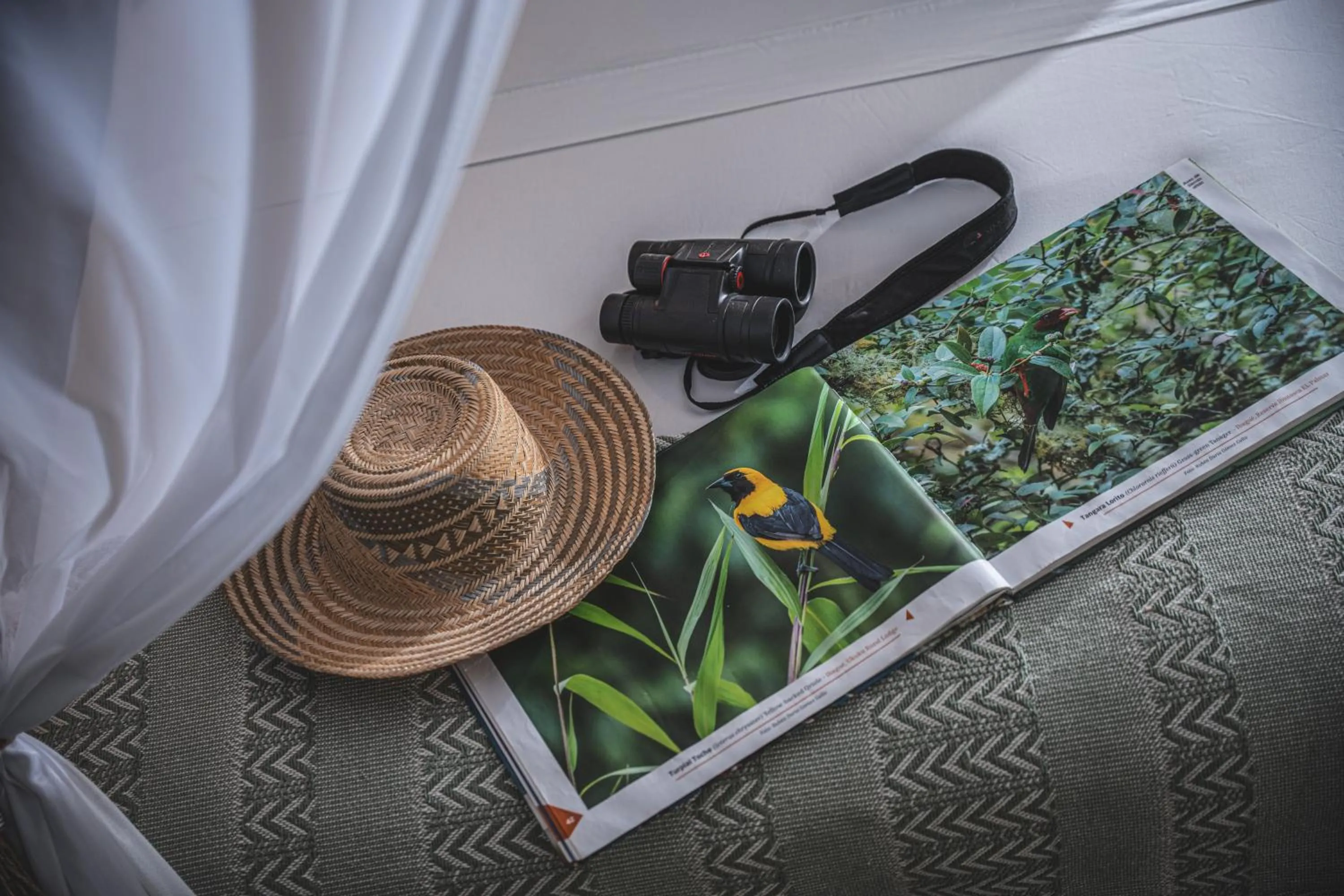 Natural landscape in Waka Hotel Rural