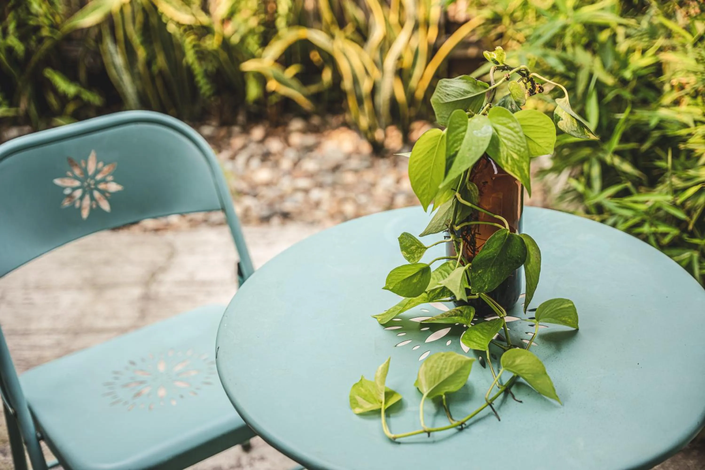 Garden in Waka Hotel Rural